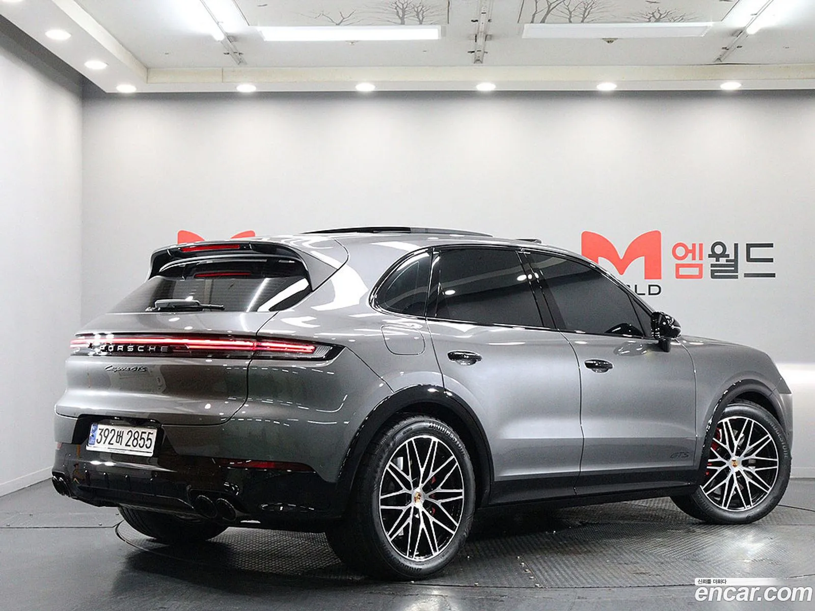 Porsche Cayenne 2025 — 15