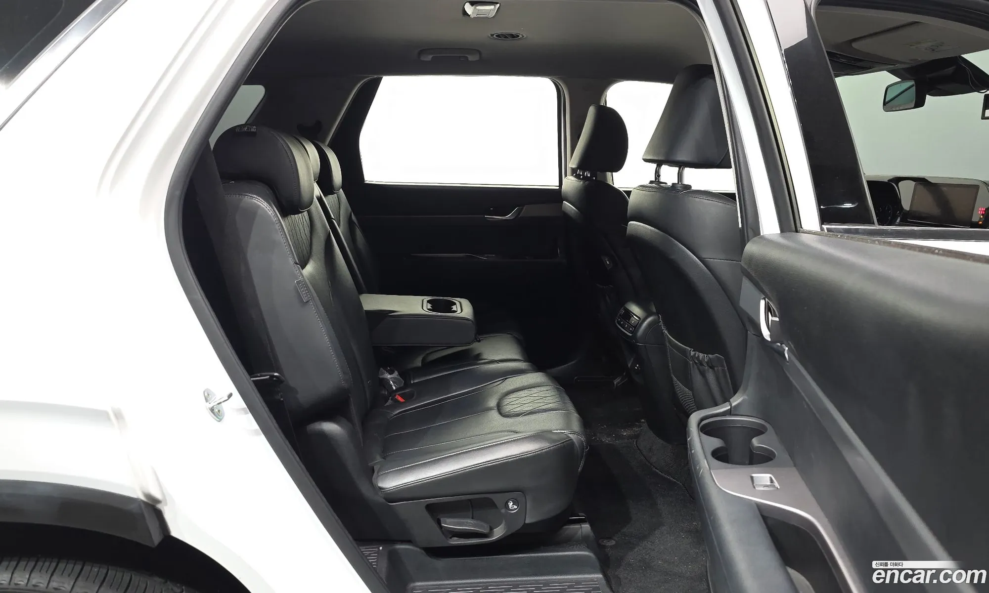 Hyundai Palisade 2020 KMHR281ABMU242530 — 20