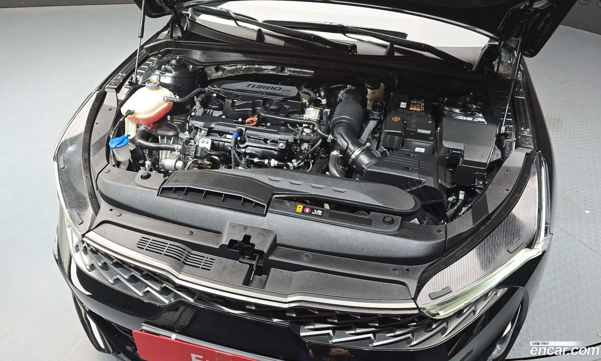 Kia K5 2021 KNAG1412BMA121887 — 2