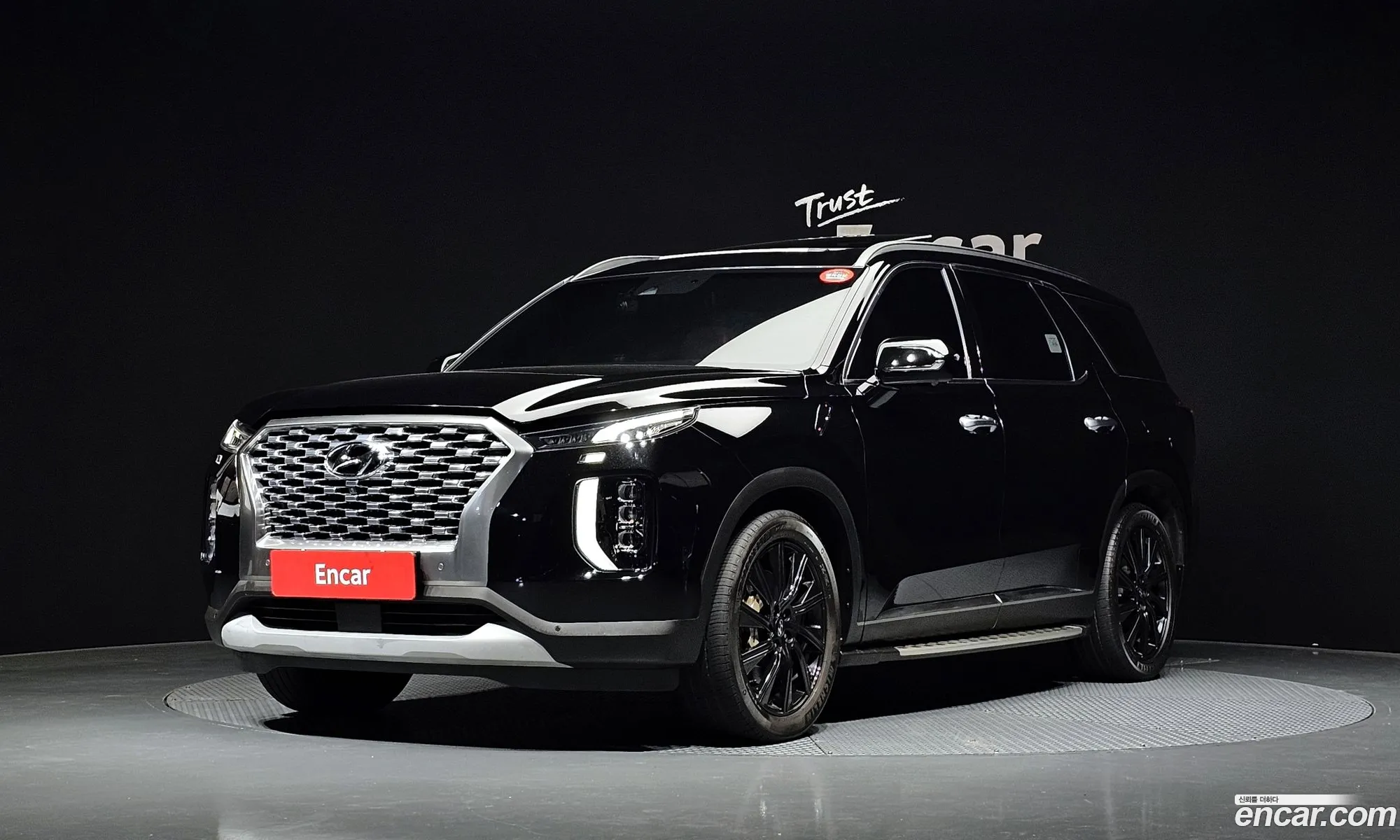 Hyundai Palisade 2019 — 10
