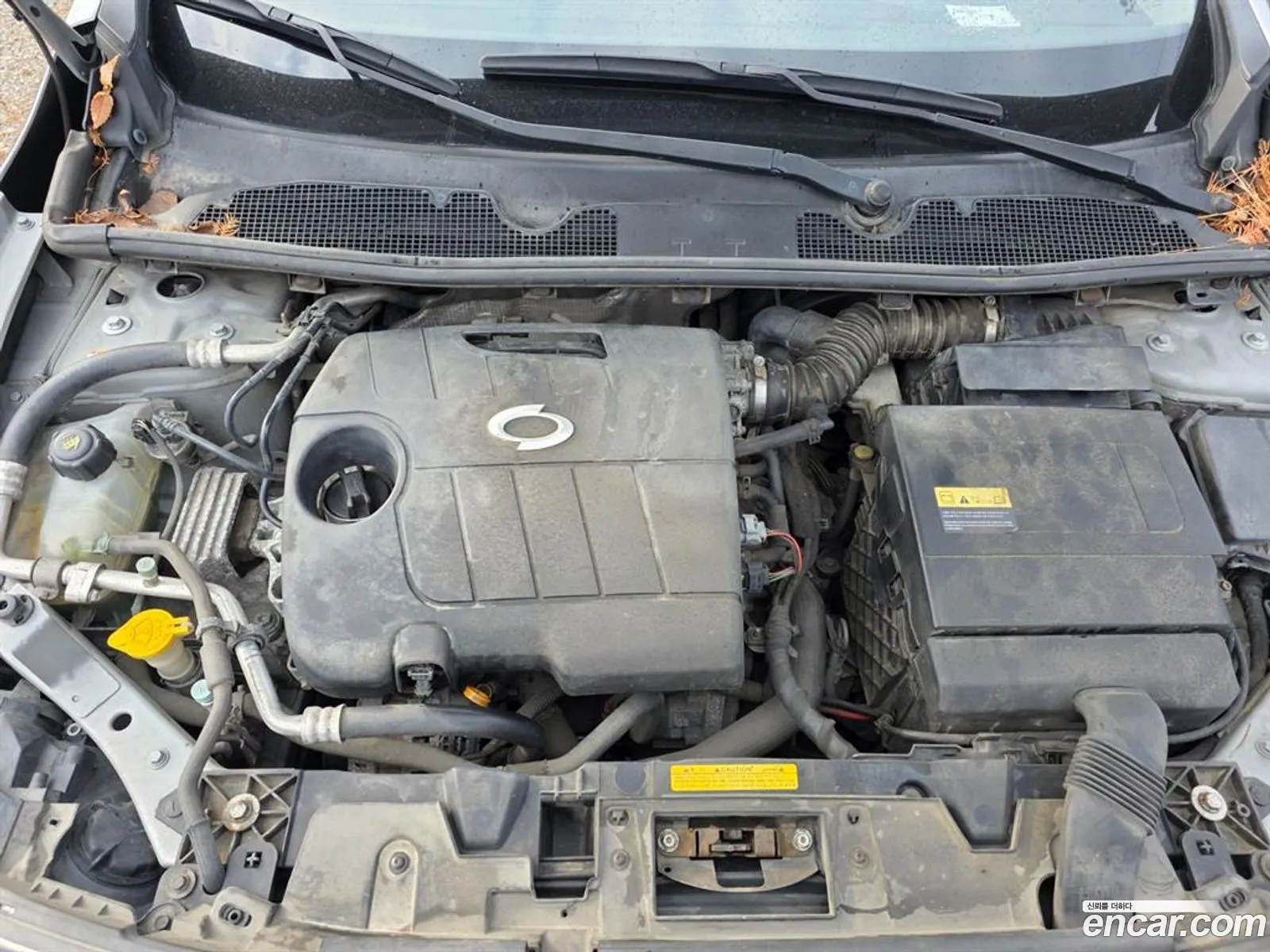Renault Korea (Samsung) SM3 2010 — 4