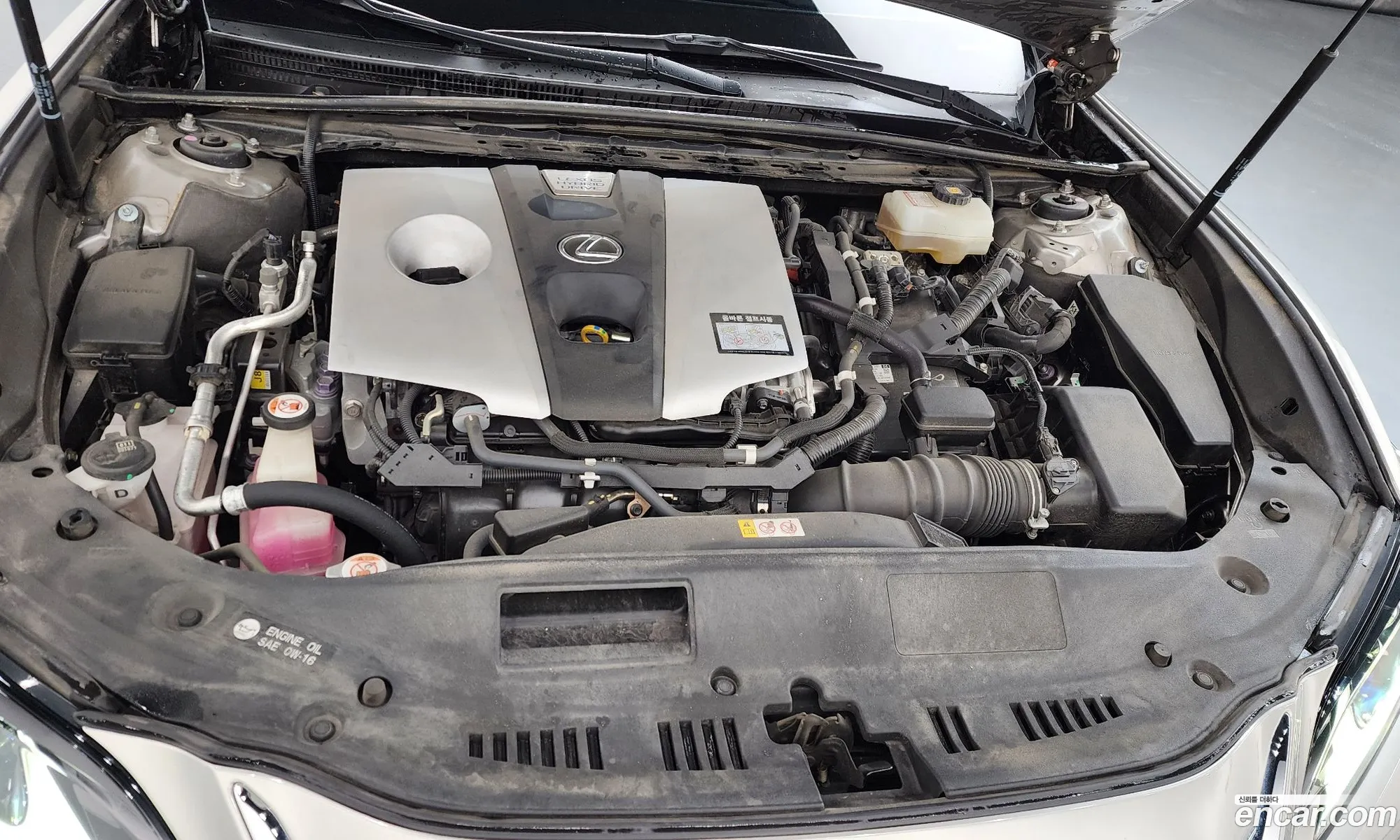 Lexus ES300h 7th Gen 2019 — 15