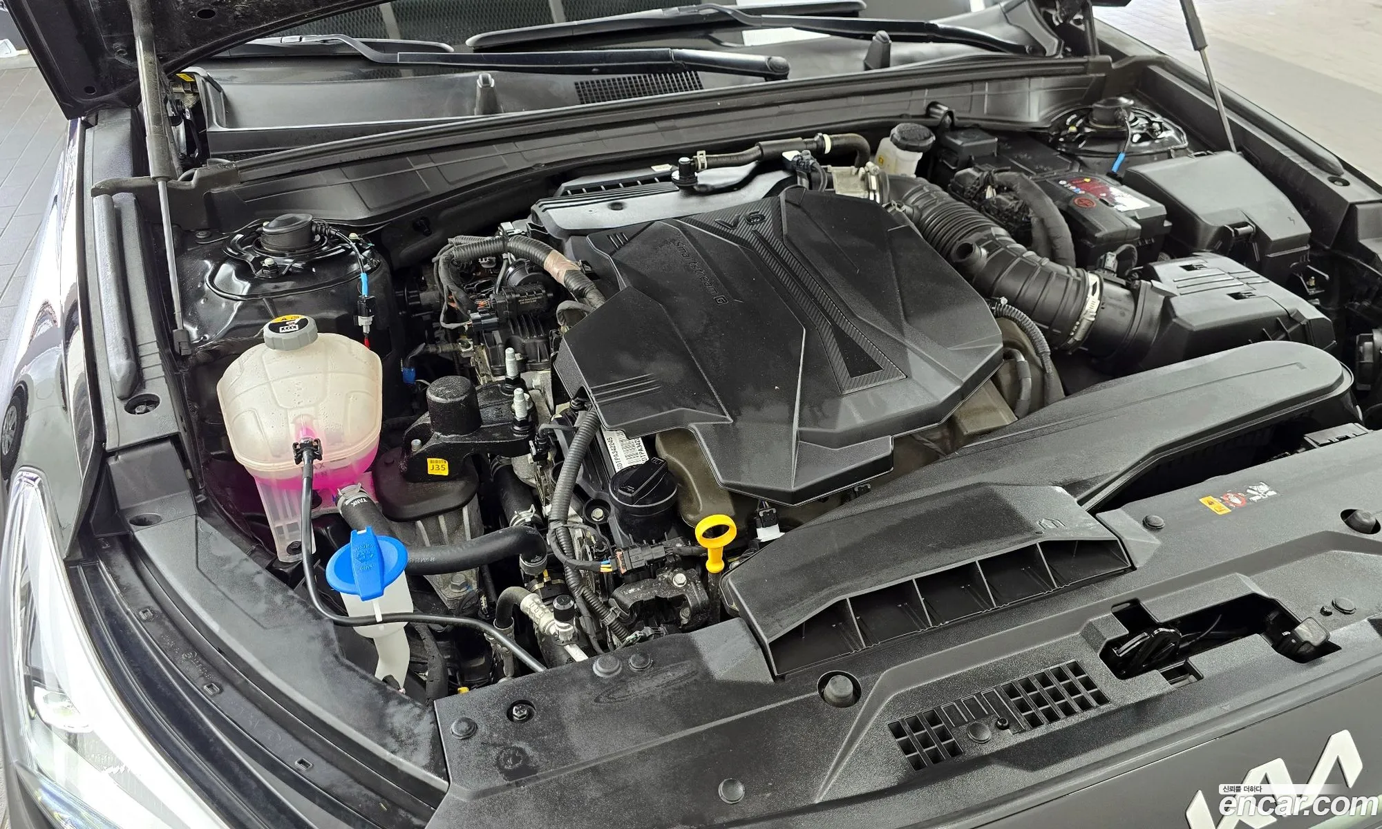 Kia K8 2024 KNAM341DDRA065981 — 31