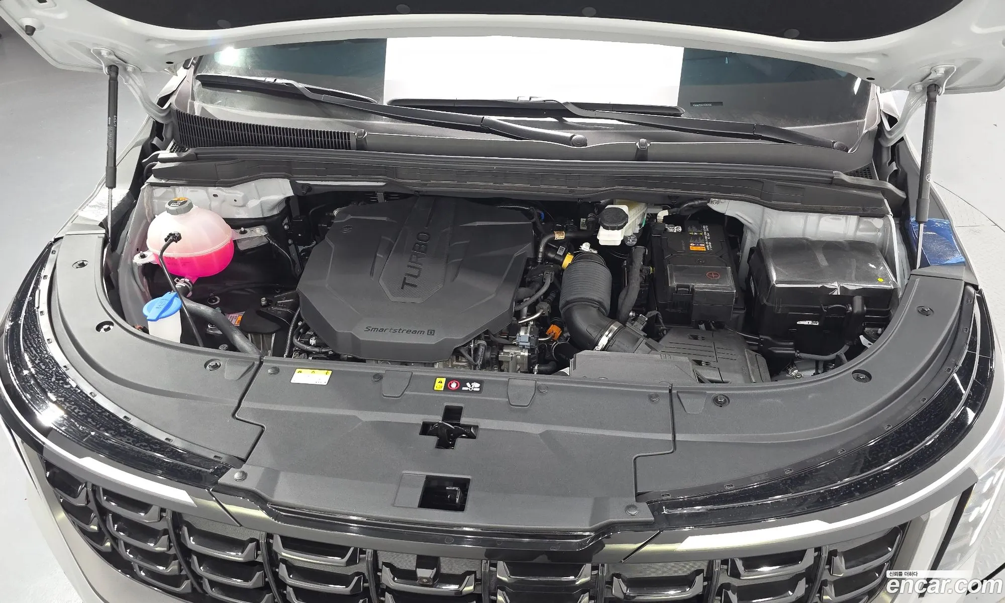Kia Carnival 2025 KNANE81BBSS581632 — 14