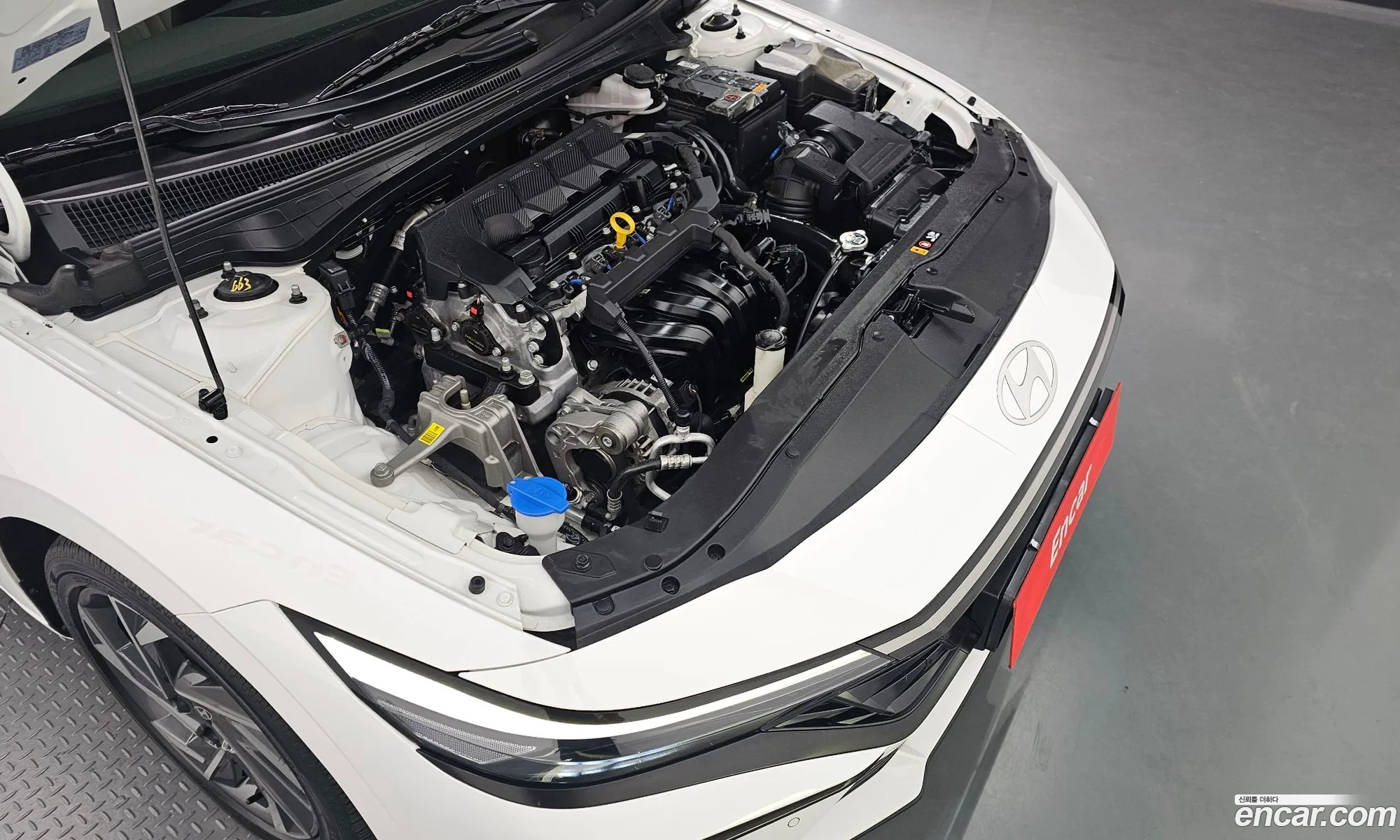 Hyundai Elantra 2023 KMHLR41EERU555777 — 12