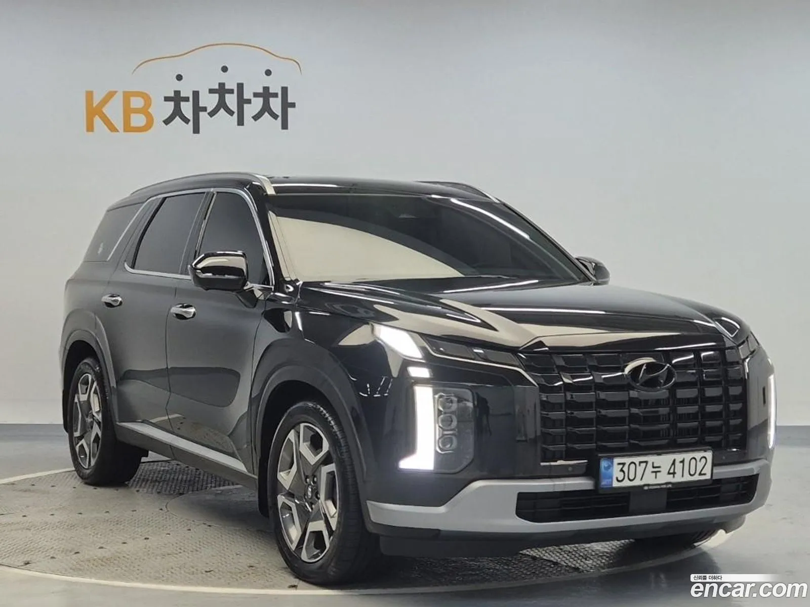 Hyundai Palisade 2023 — 19