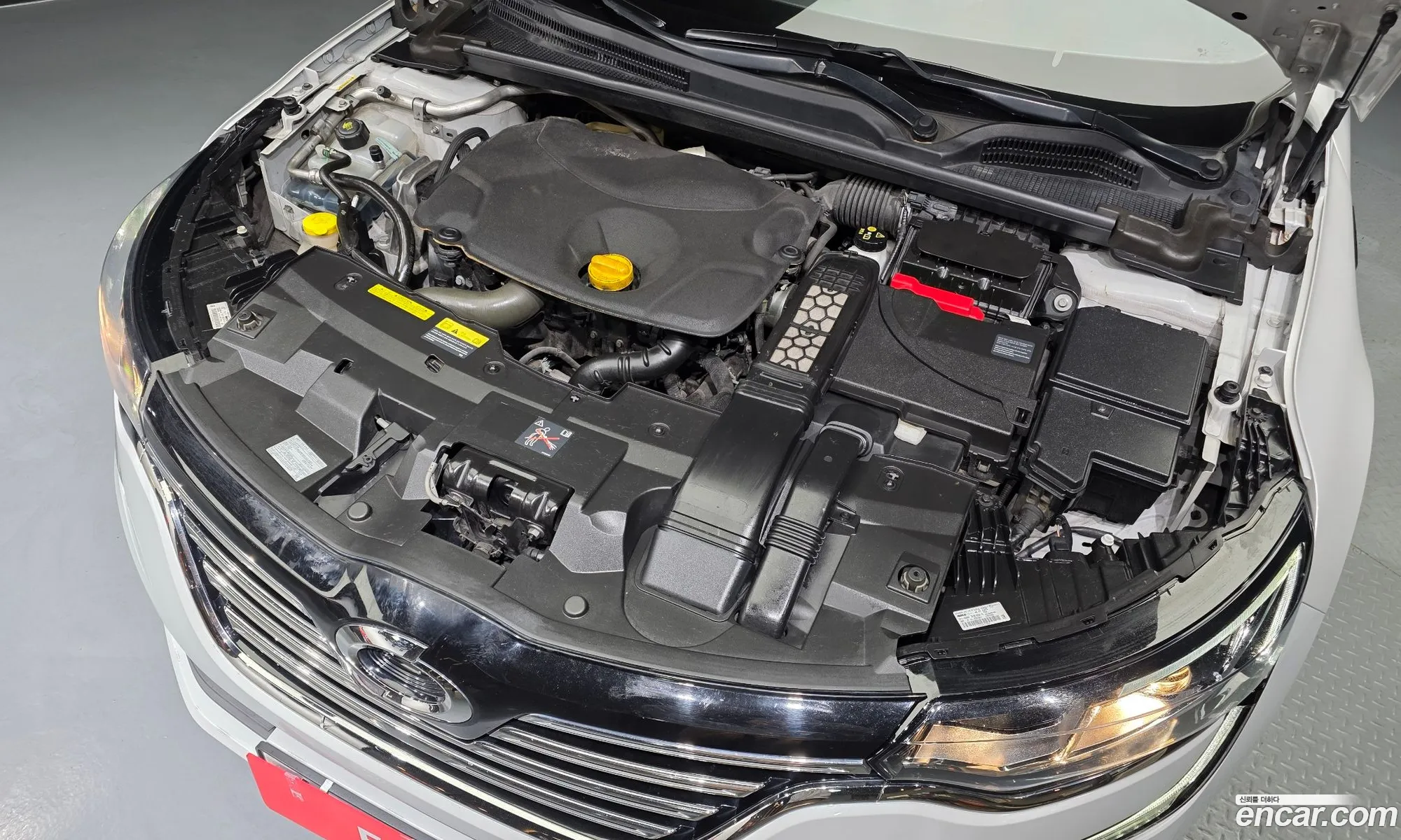 Renault Korea (Samsung) SM6 2017 — 6