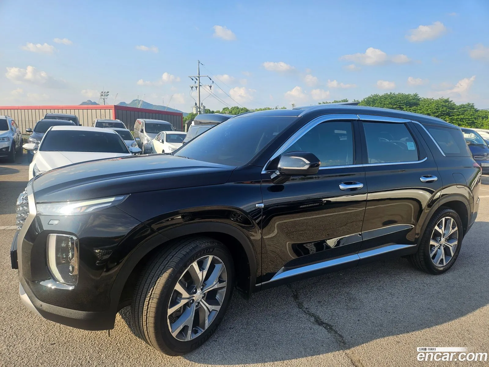 Hyundai Palisade 2019 — 17