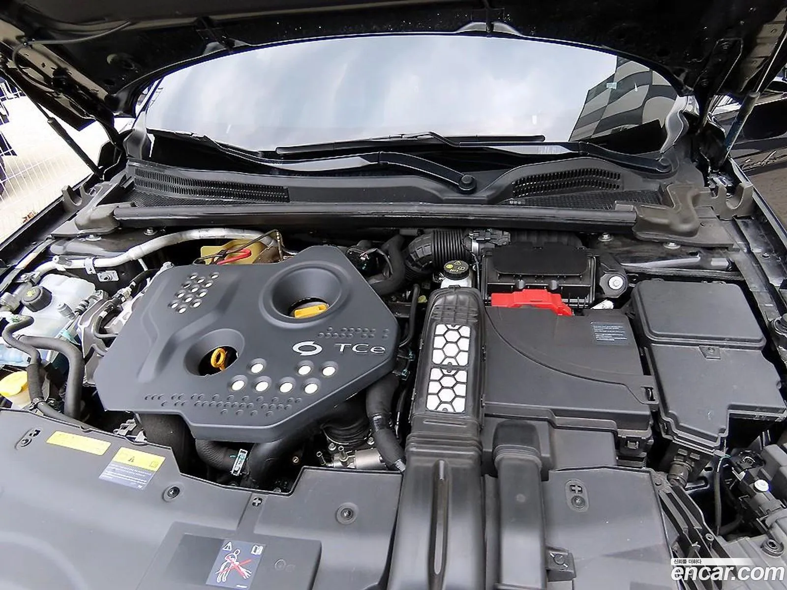 Renault Korea (Samsung) SM6 2024 — 19