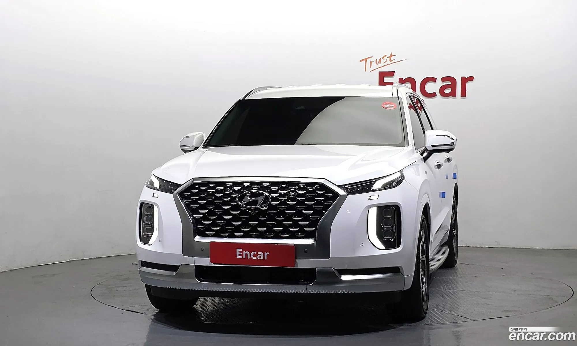 Hyundai Palisade 2020 — 19