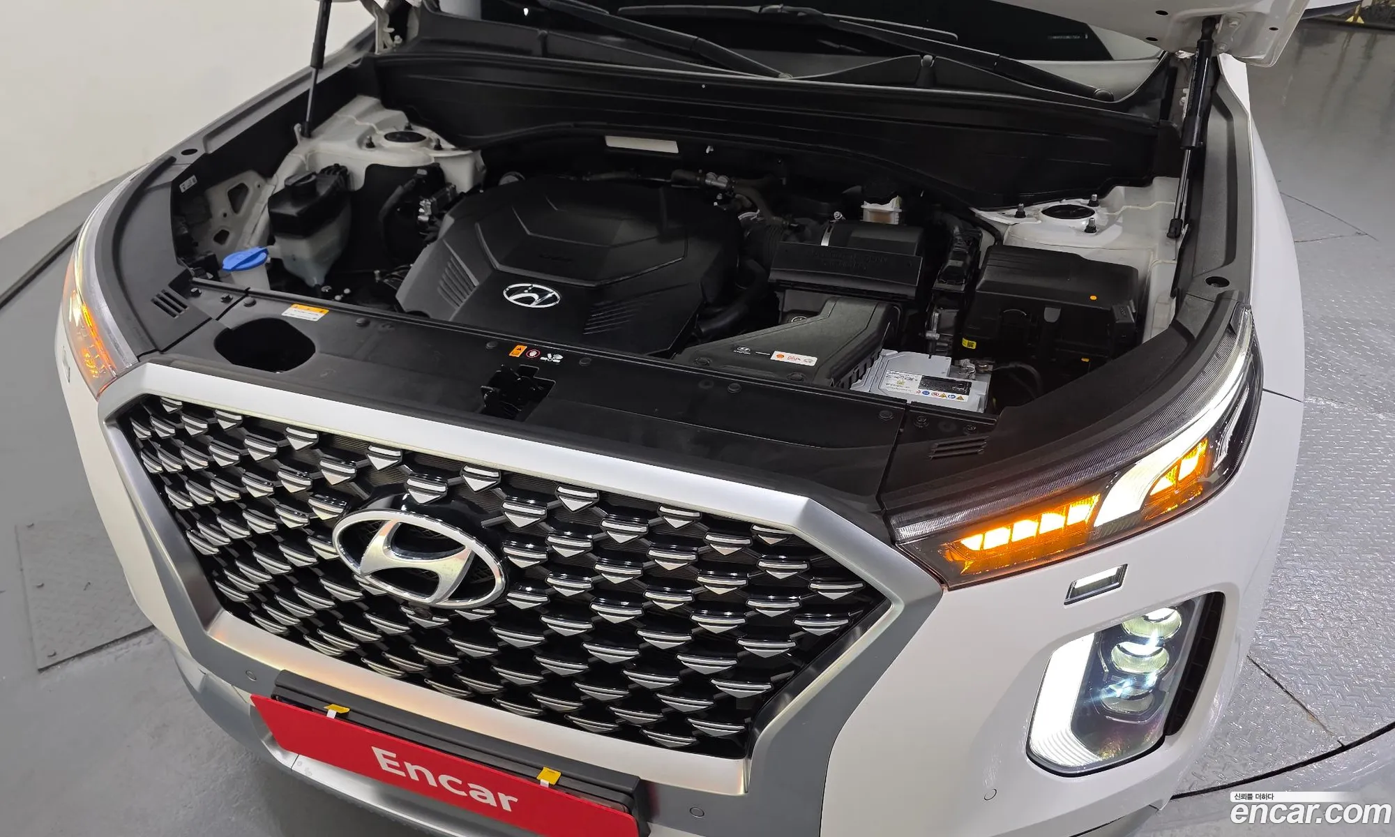 Hyundai Palisade 2020 — 9