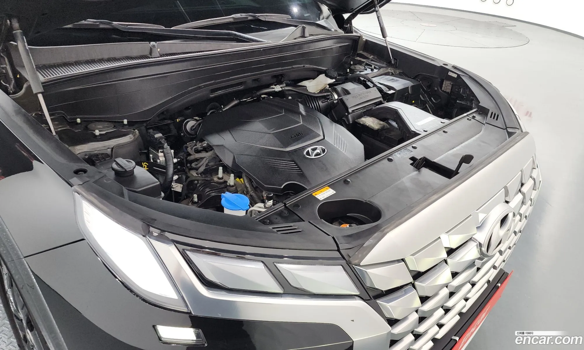 Hyundai Palisade 2023 KMHR581EBPU579687 — 9