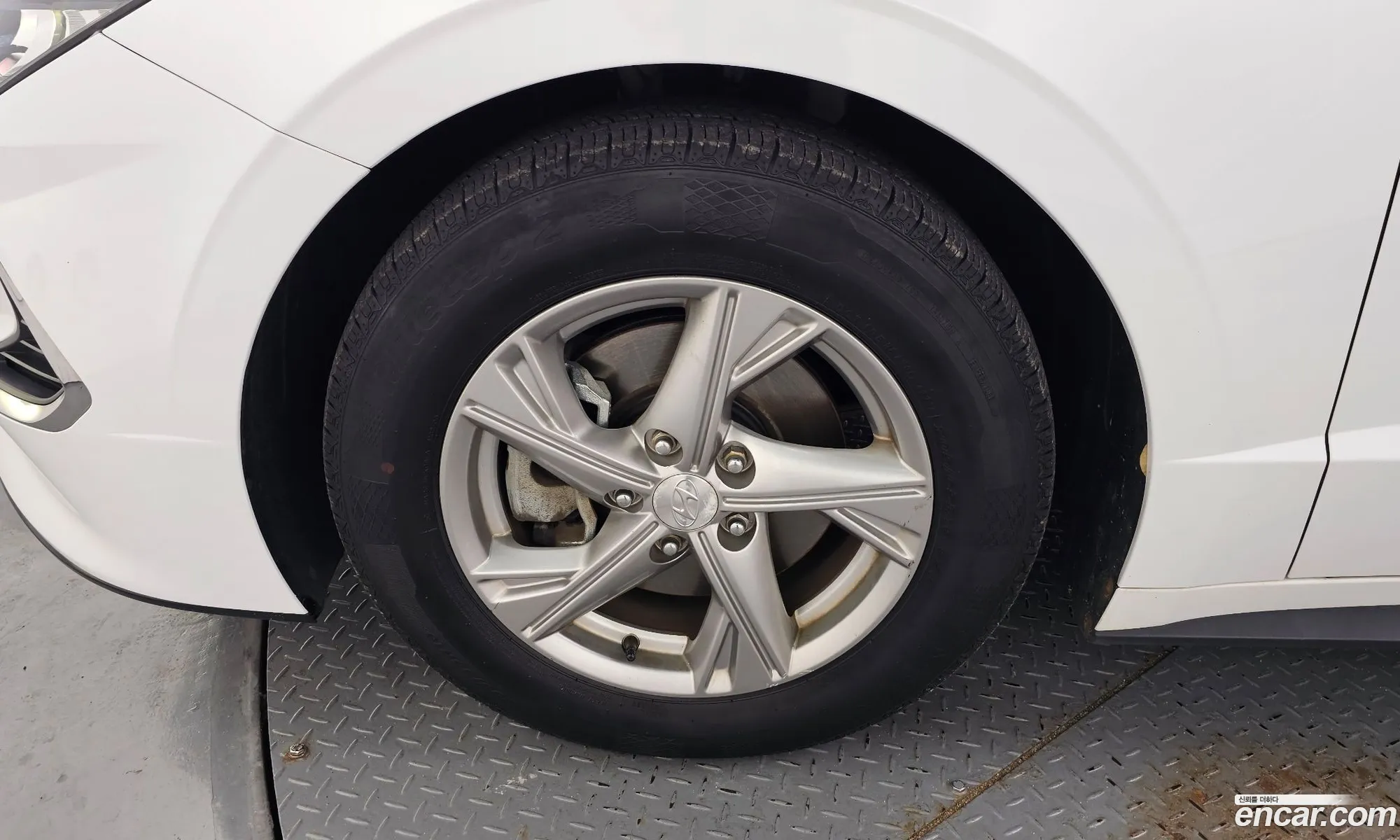 Hyundai Sonata 2019 KMHL141EBLA002864 — 12