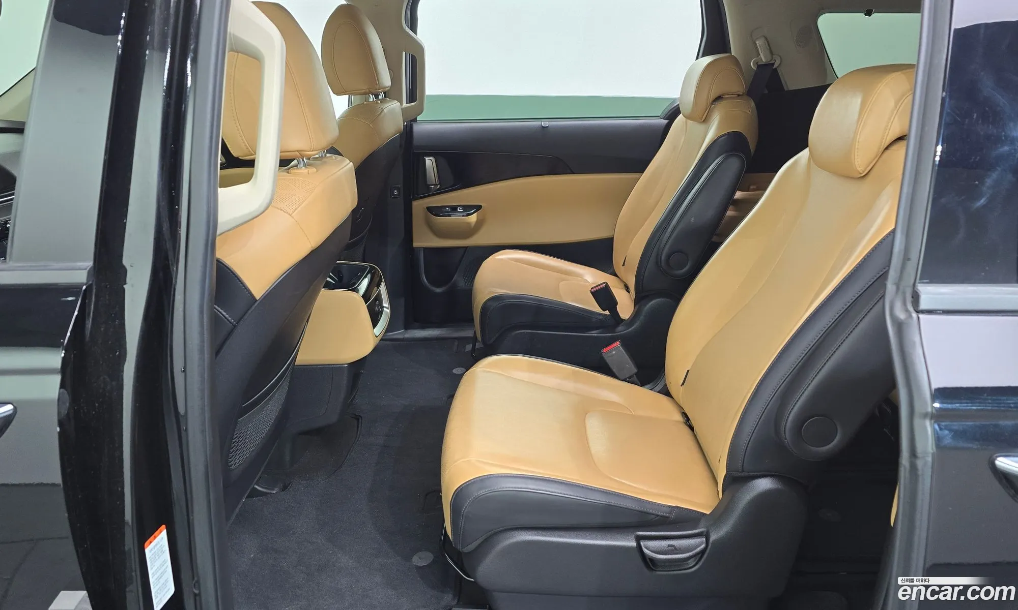 Kia Carnival 2023 KNANC81BBPS317173 — 10