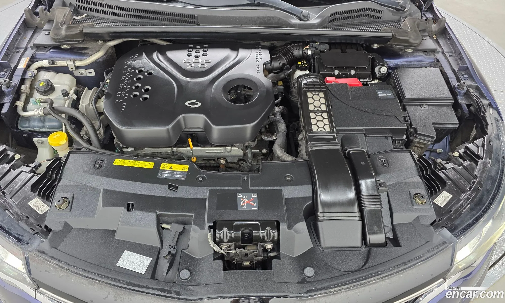 Renault Korea (Samsung) SM6 2016 — 23