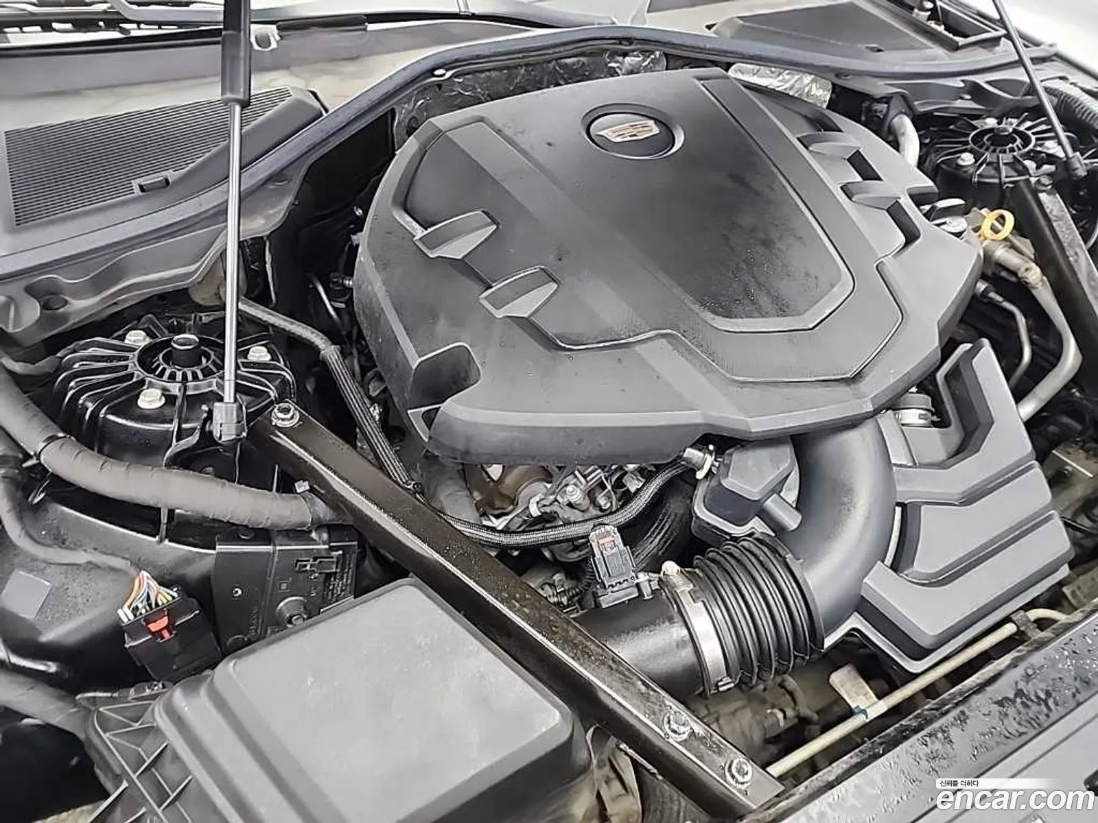 Cadillac CT6 2019 — 12