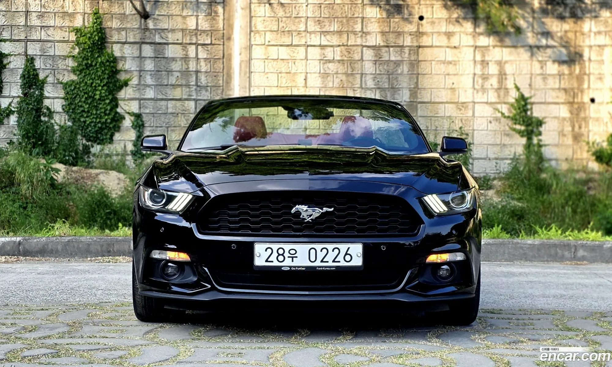 Ford Mustang 2016 — 10