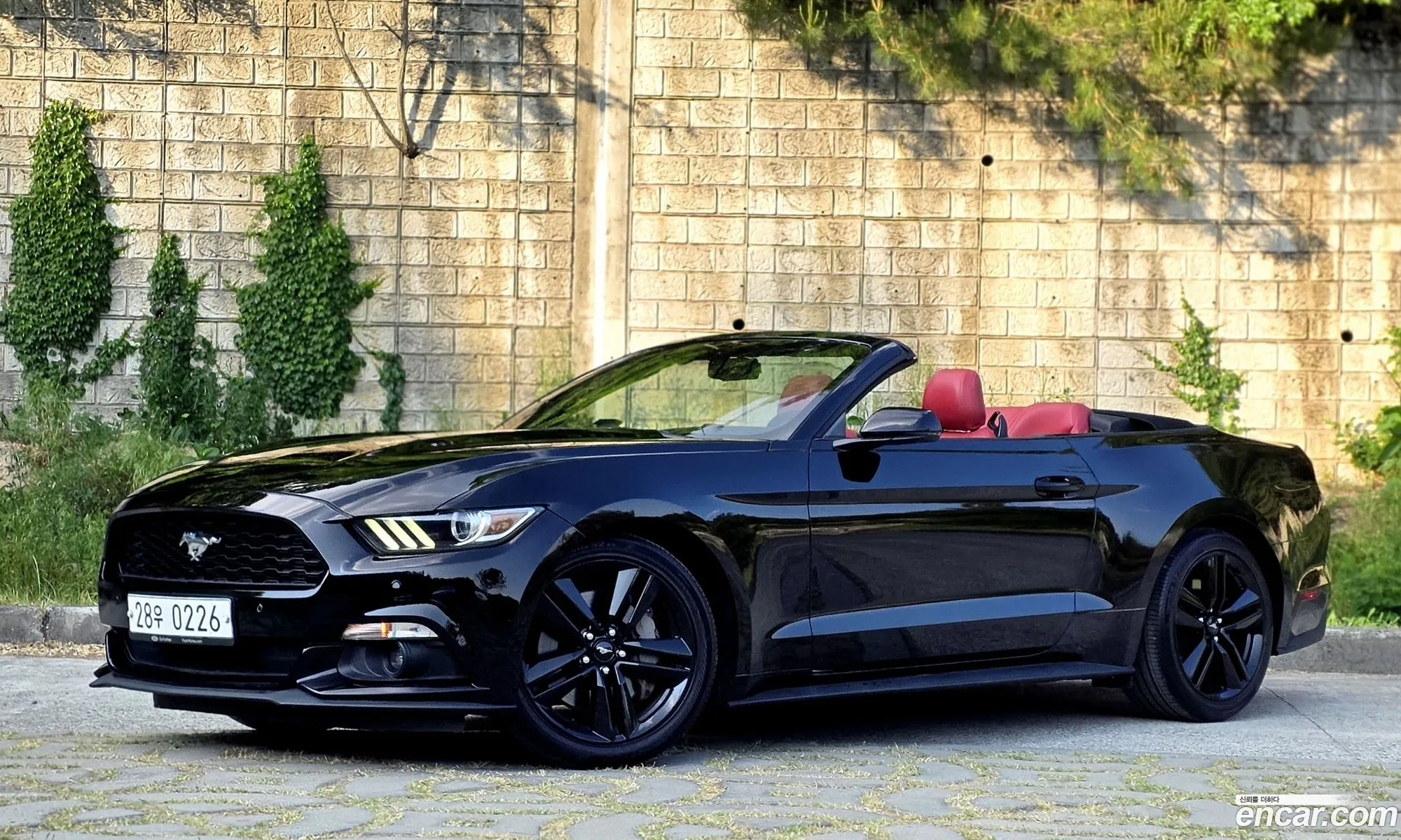 Ford Mustang 2016 — 5