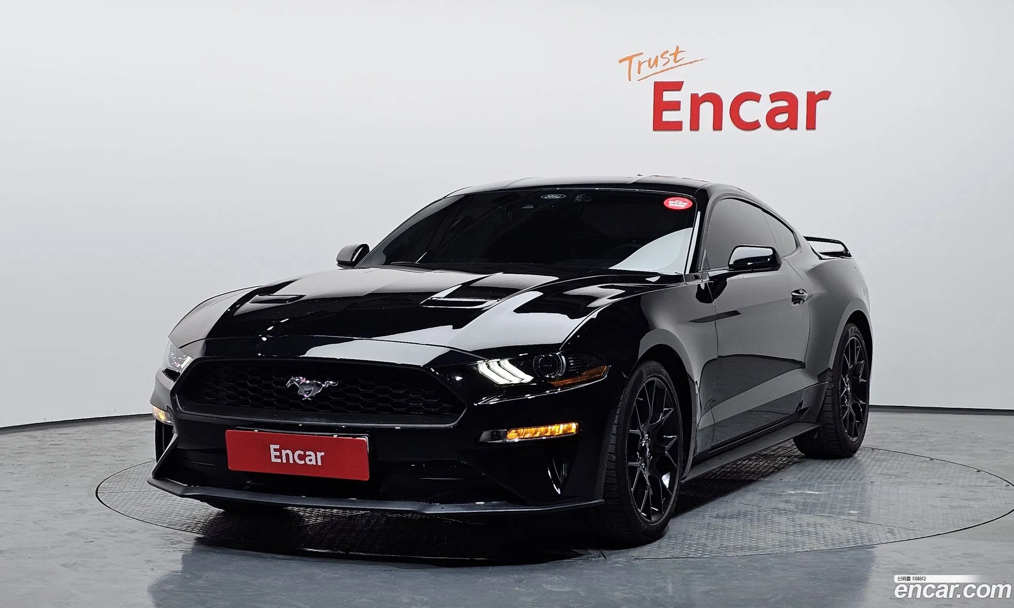 Ford Mustang 2023 1FA6P8TH4P5104645 — 24