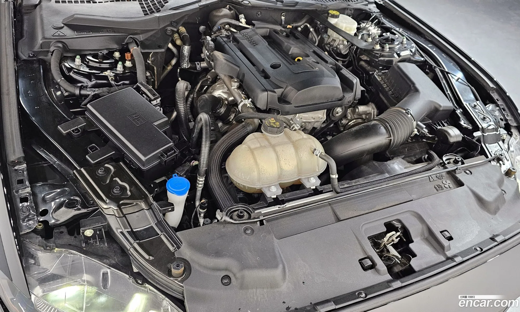 Ford Mustang 2023 1FA6P8TH4P5104645 — 14