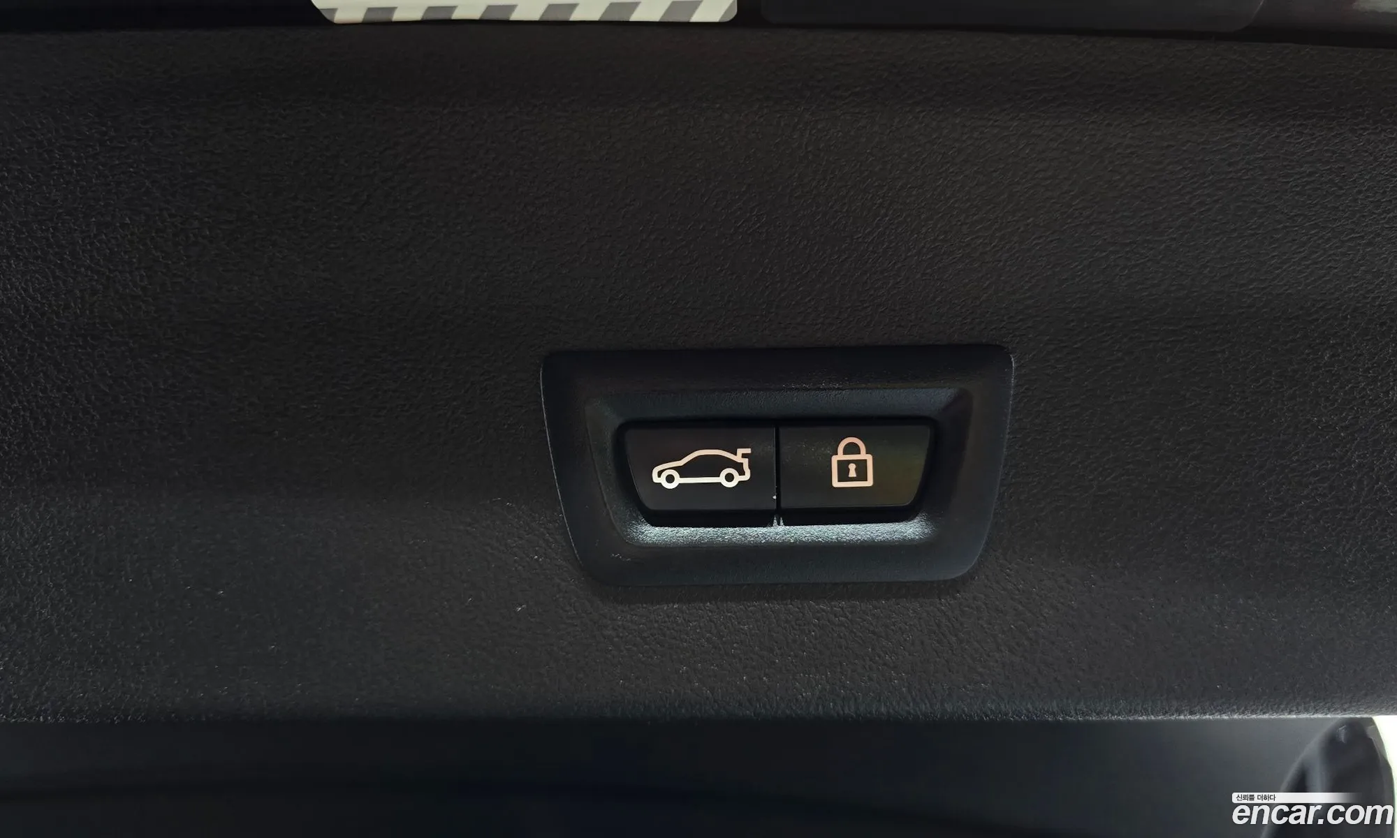 BMW X4 2019 WBAVJ1103KLF66131 — 24