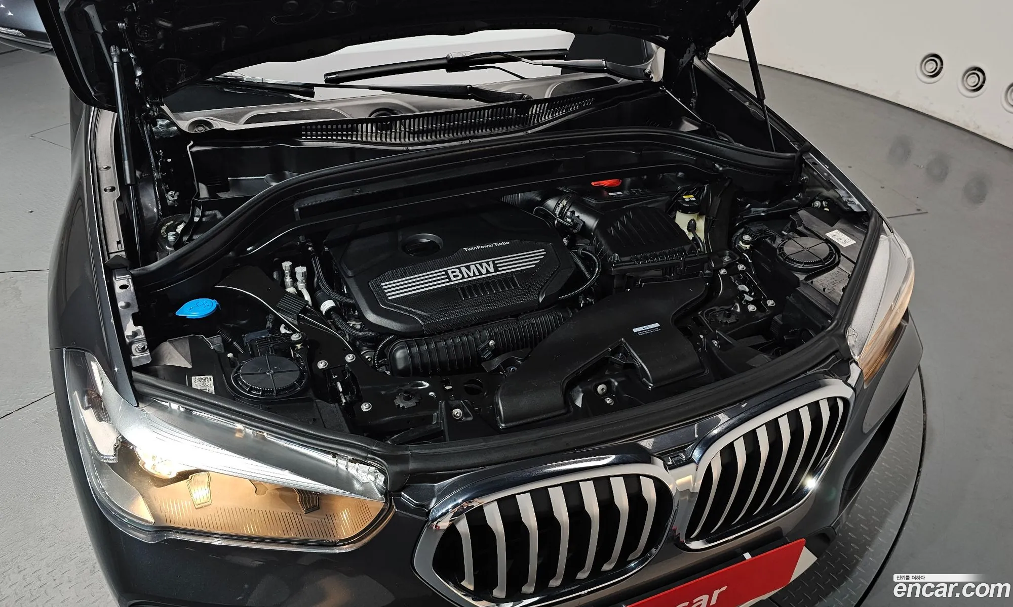 BMW X1 2022 WBA11DG04N5V31787 — 5