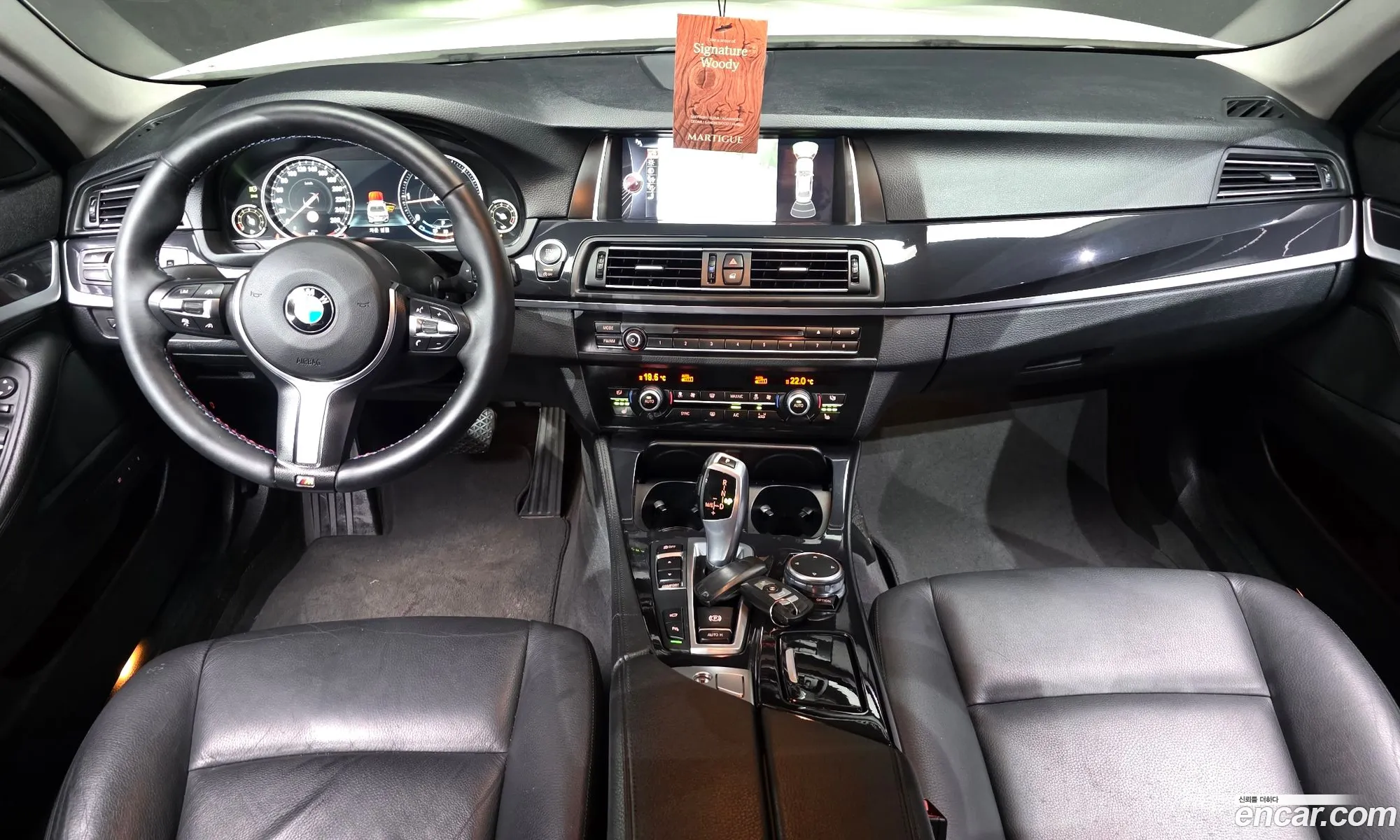 BMW 5 Series 2016 — 13
