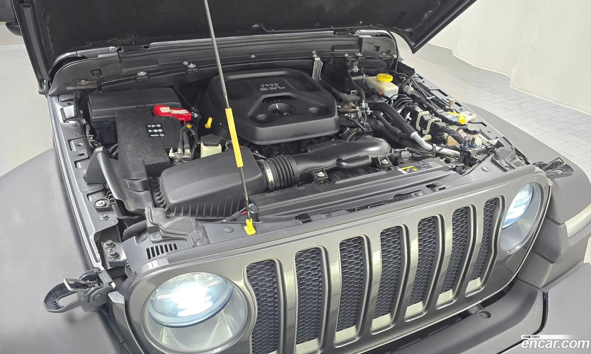 Jeep Wrangler 2019 1C4HJXFN7KW575904 — 12