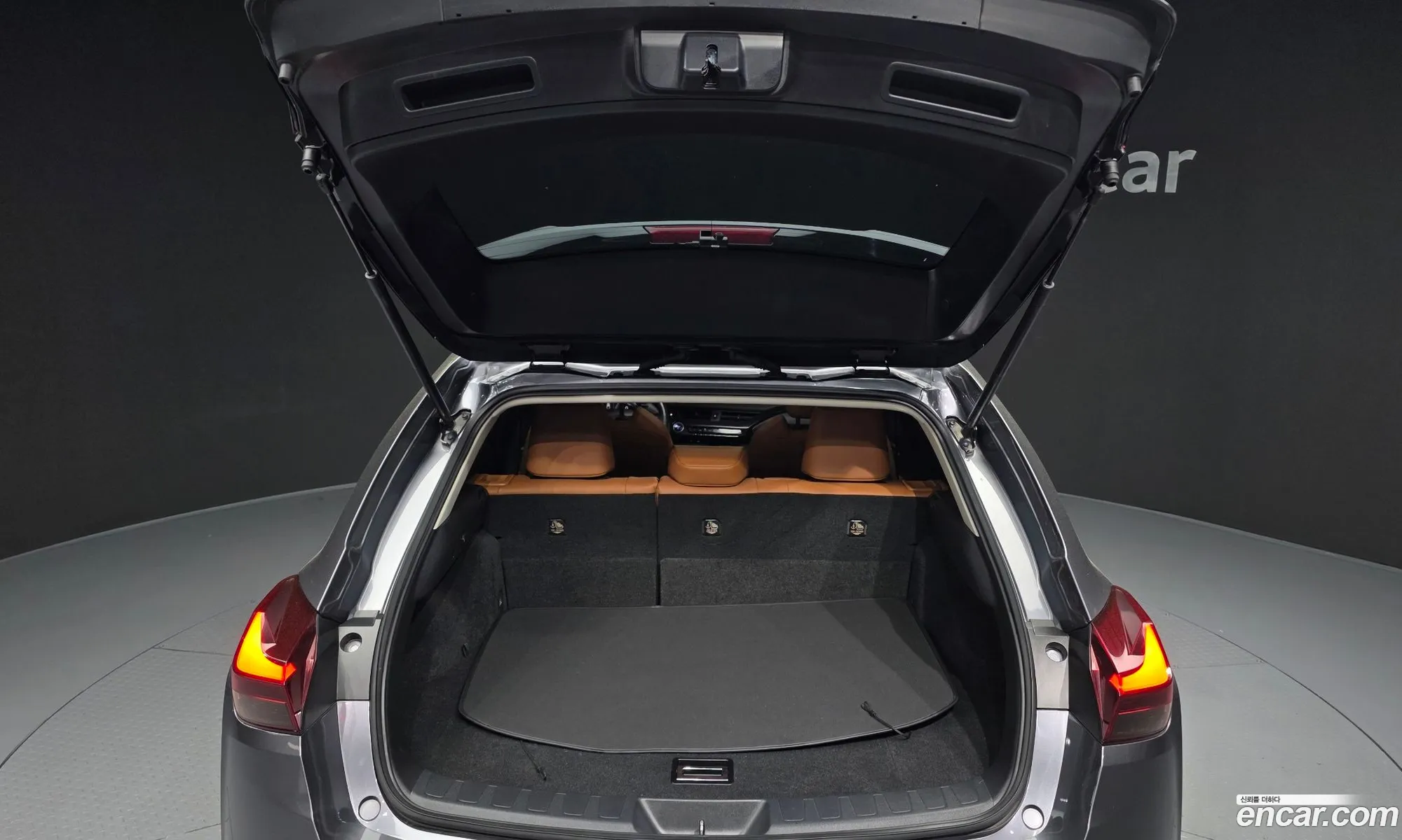 Lexus UX250h 2019 JTHY6JBH1K2001125 — 2