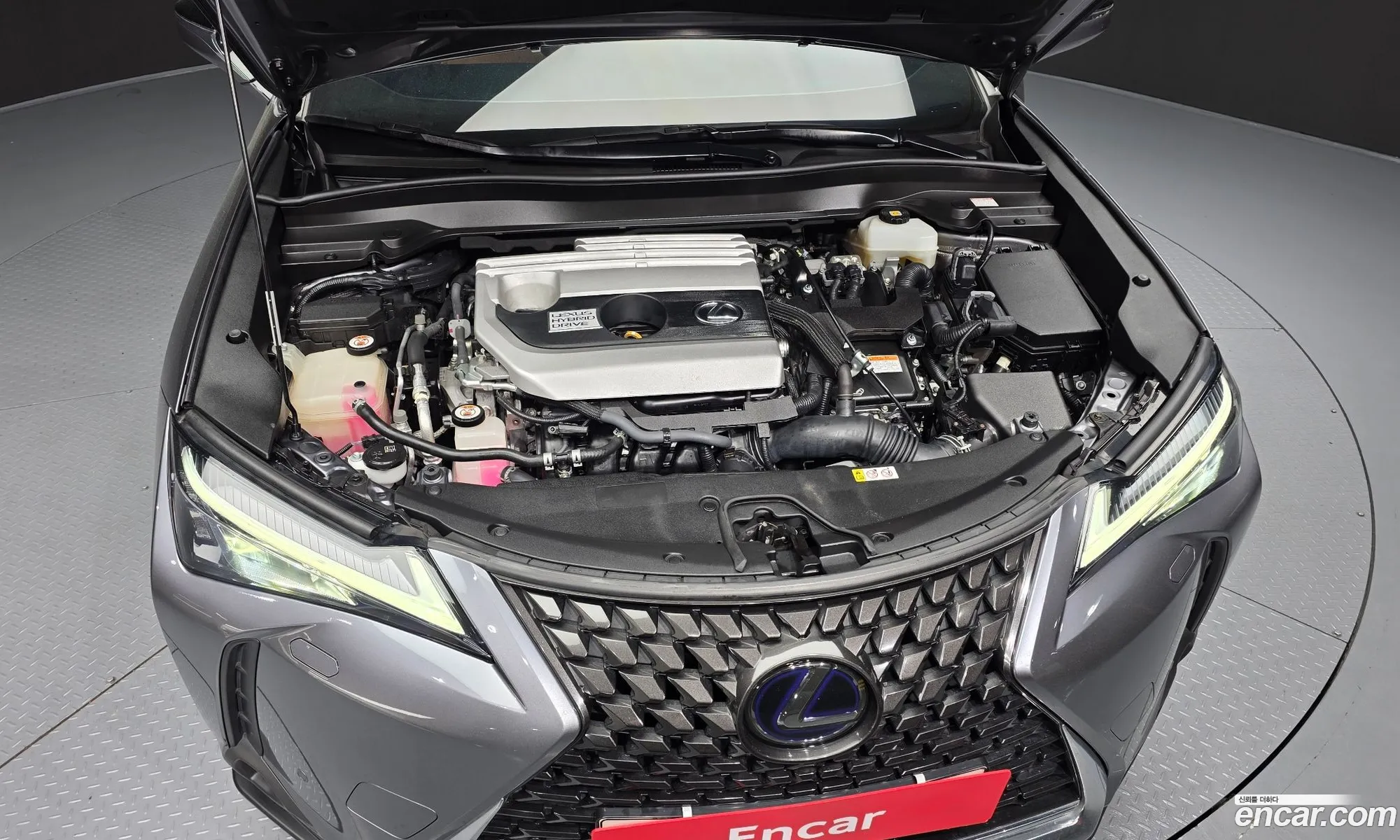 Lexus UX250h 2019 JTHY6JBH1K2001125 — 16