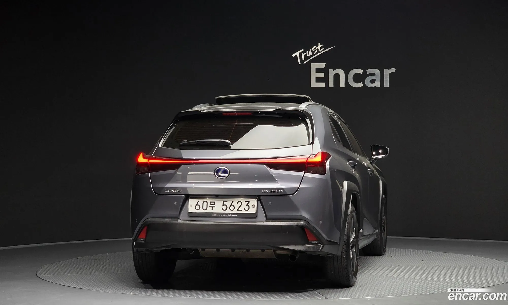 Lexus UX250h 2019 JTHY6JBH1K2001125 — 10