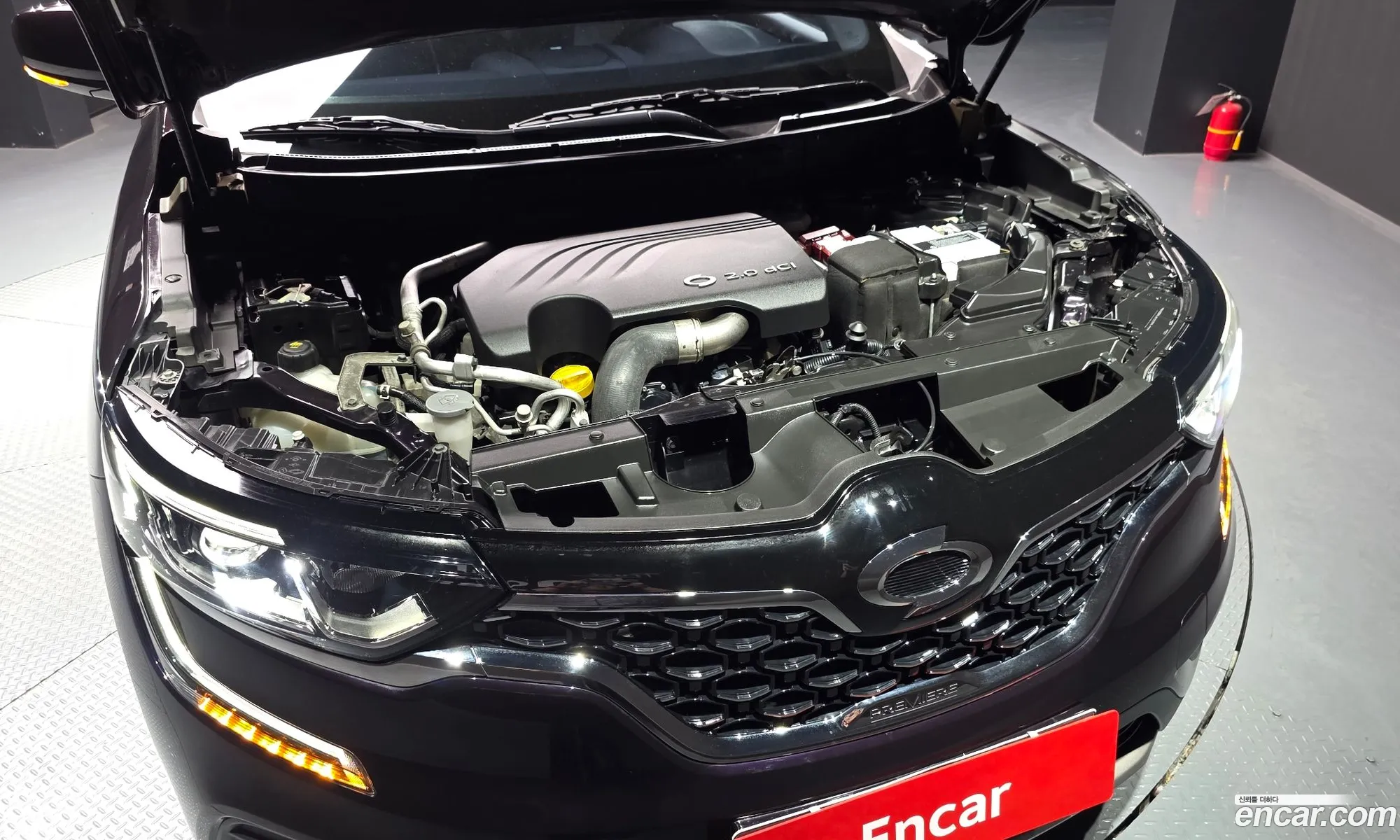 Renault Korea (Samsung) QM6 2018 — 25