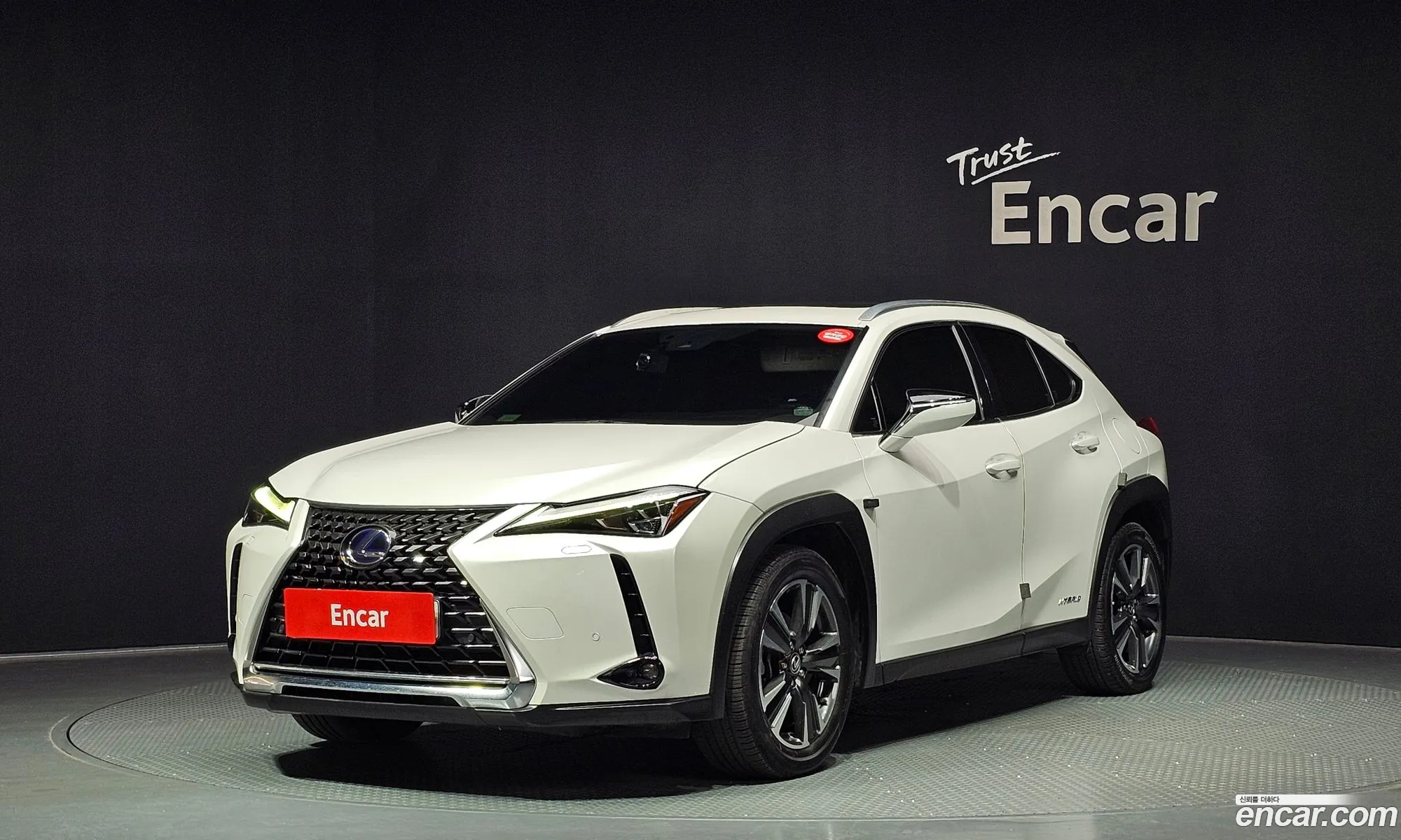 Lexus UX250h