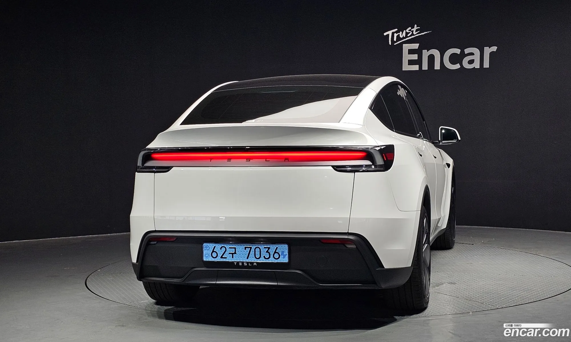 Tesla Model Y 2025 LRWYGCFJXSC029391 — 30