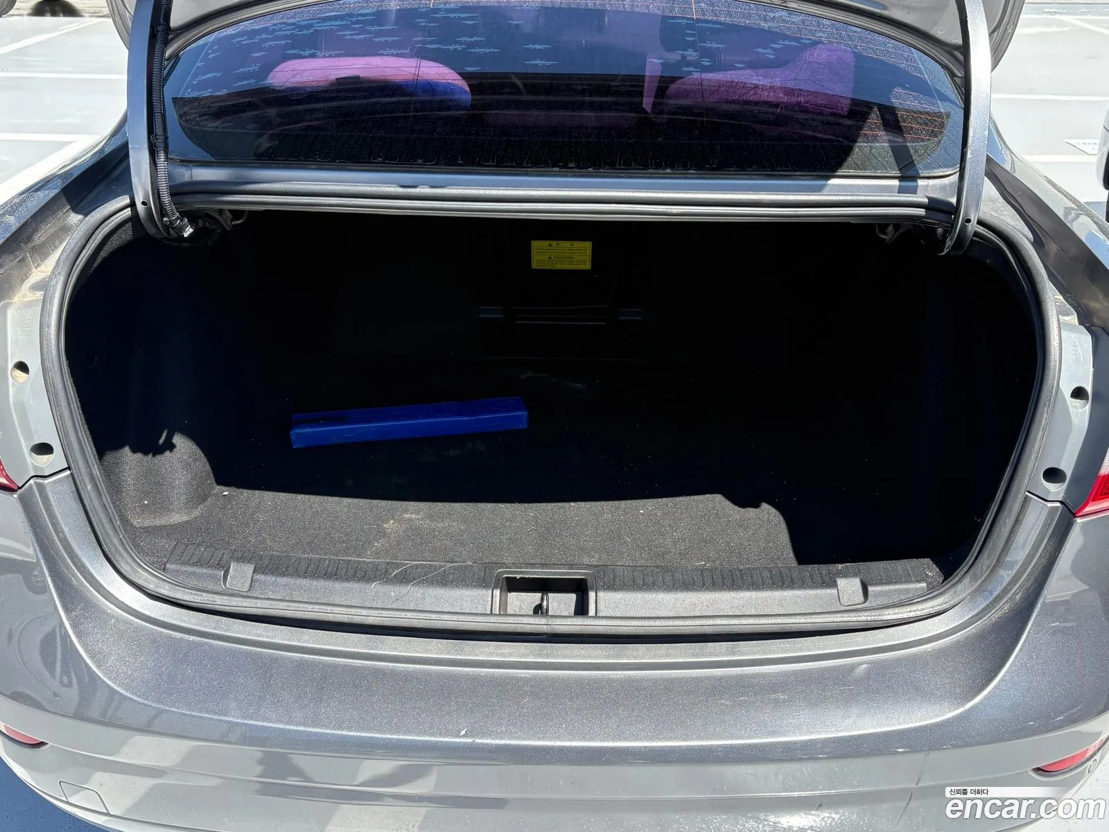 Renault Korea (Samsung) SM3 Neo 2015 — 12