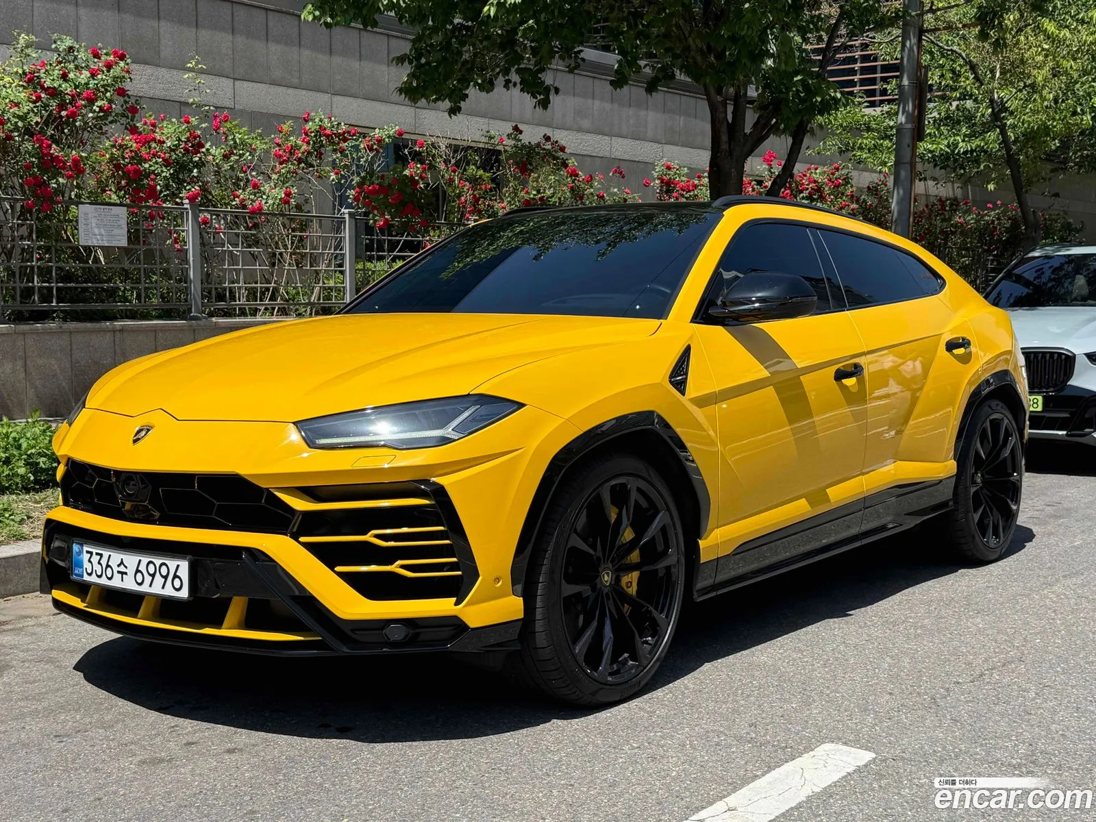 Lamborghini Urus 2019 — 12