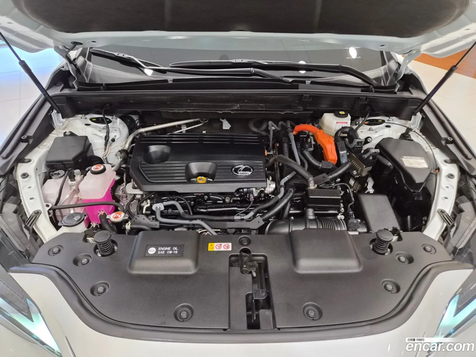 Lexus NX350h 2024 — 7