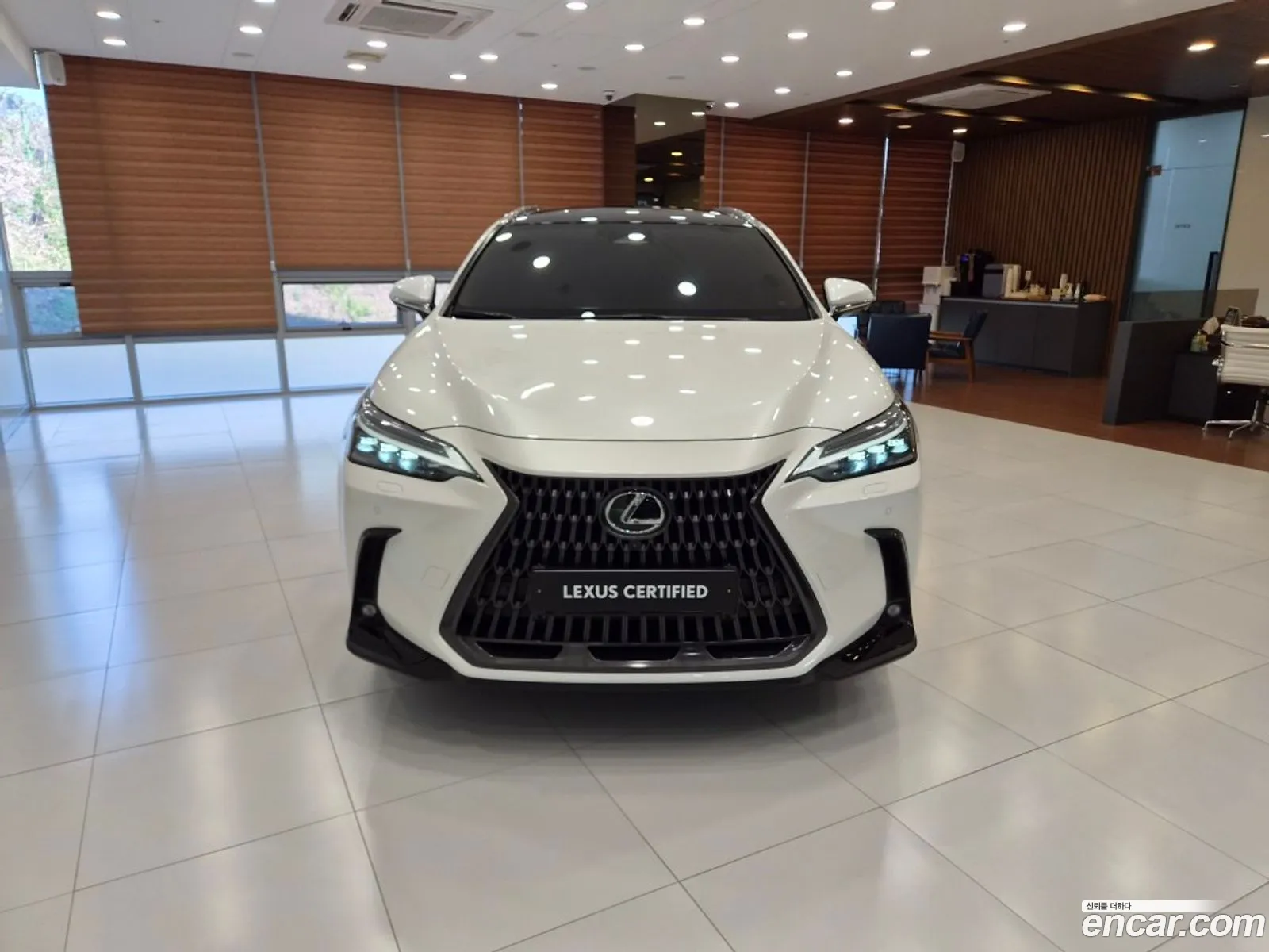 Lexus NX350h 2024 — 4