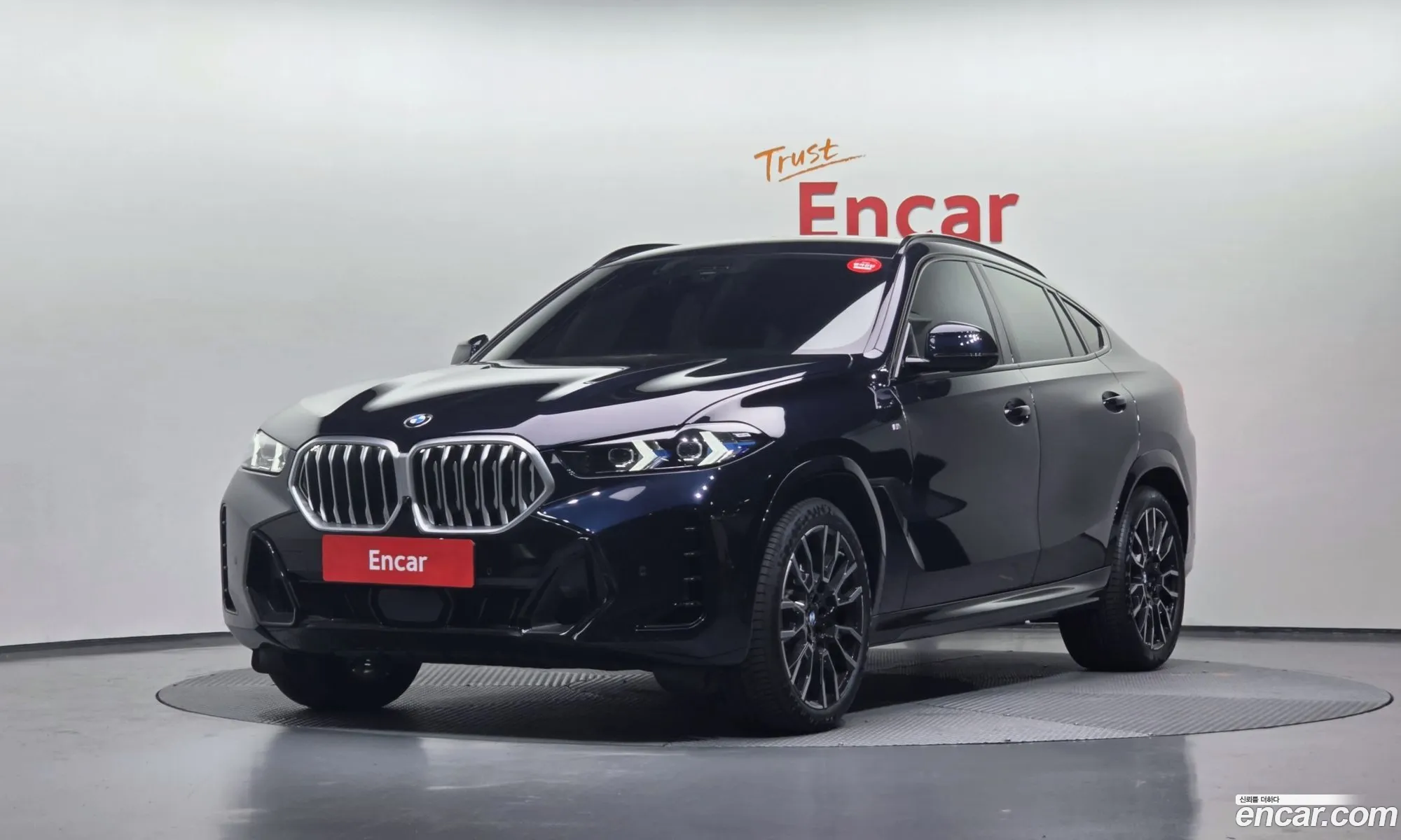 BMW X6 2025 WBA31EX07S9089428 — 6