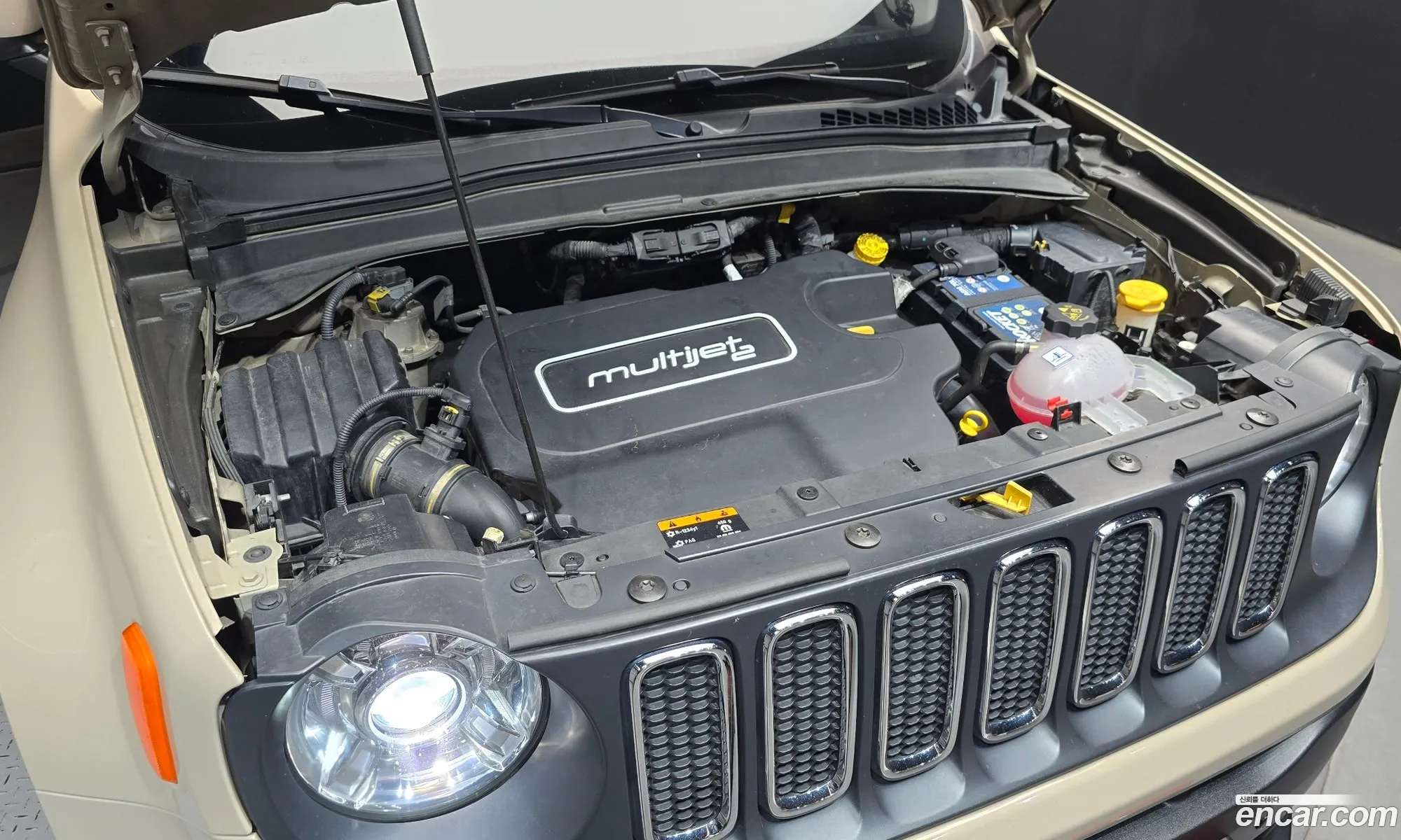Jeep Renegade 2016 1C4BU0000GPD50647 — 19
