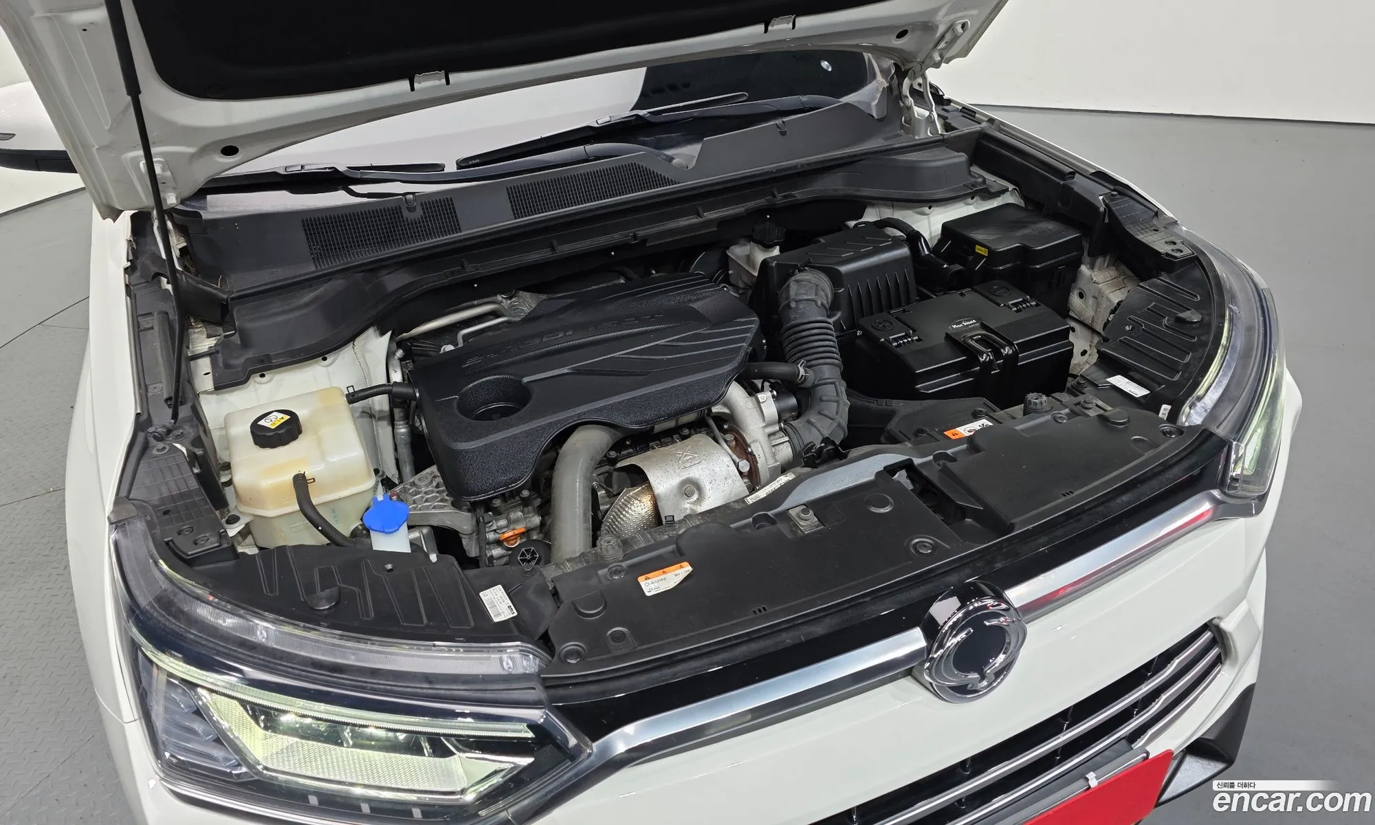 KG Mobility (SsangYong) Beautiful Korando 2019 — 5