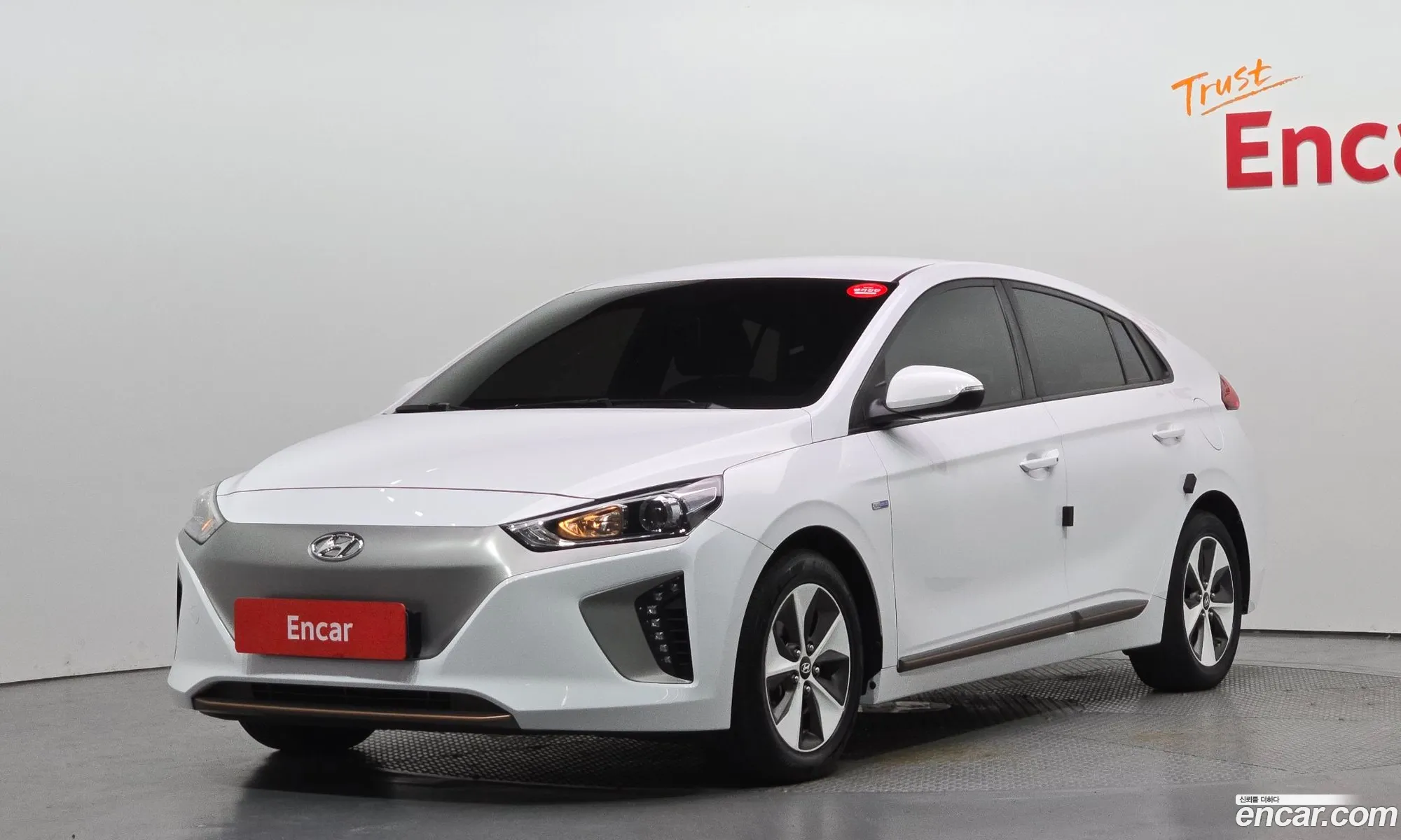 Hyundai Ioniq Electric 2018 — 14