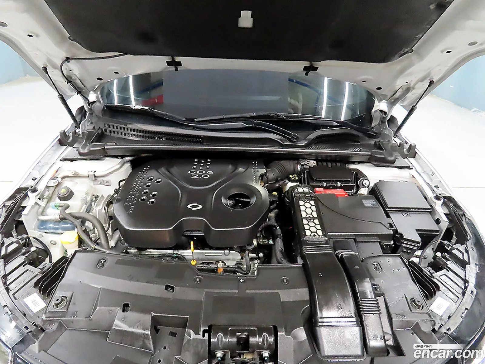 Renault Korea (Samsung) SM6 2018 — 2