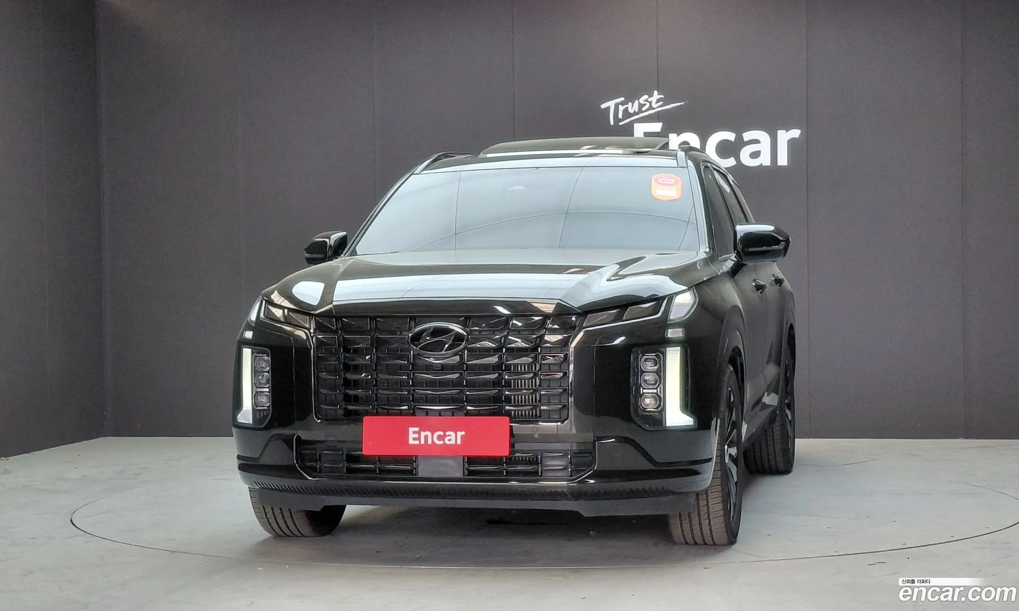 Hyundai Palisade 2023 — 8