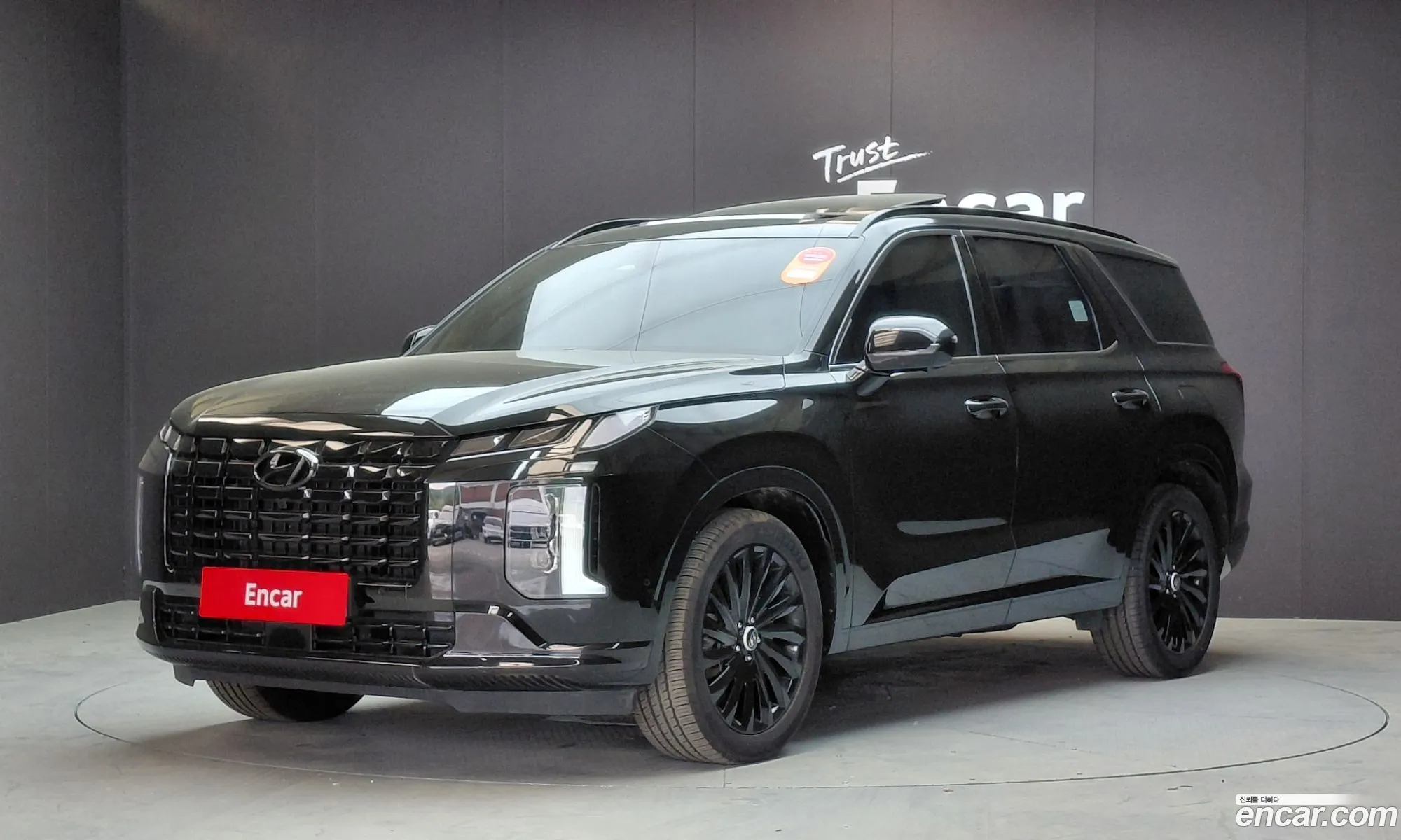 Hyundai Palisade 2023 — 9