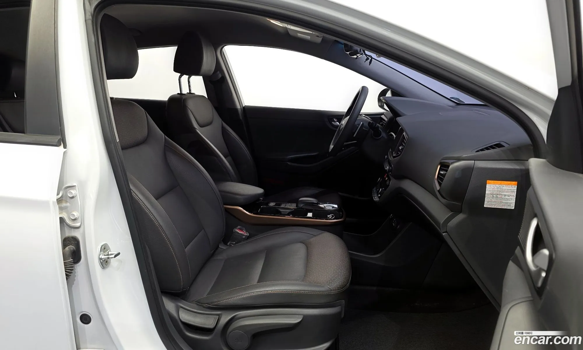 Hyundai Ioniq Electric 2018 — 8
