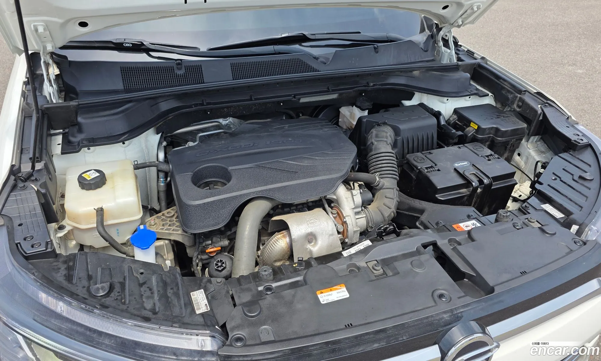 KG Mobility (SsangYong) Beautiful Korando 2019 — 27
