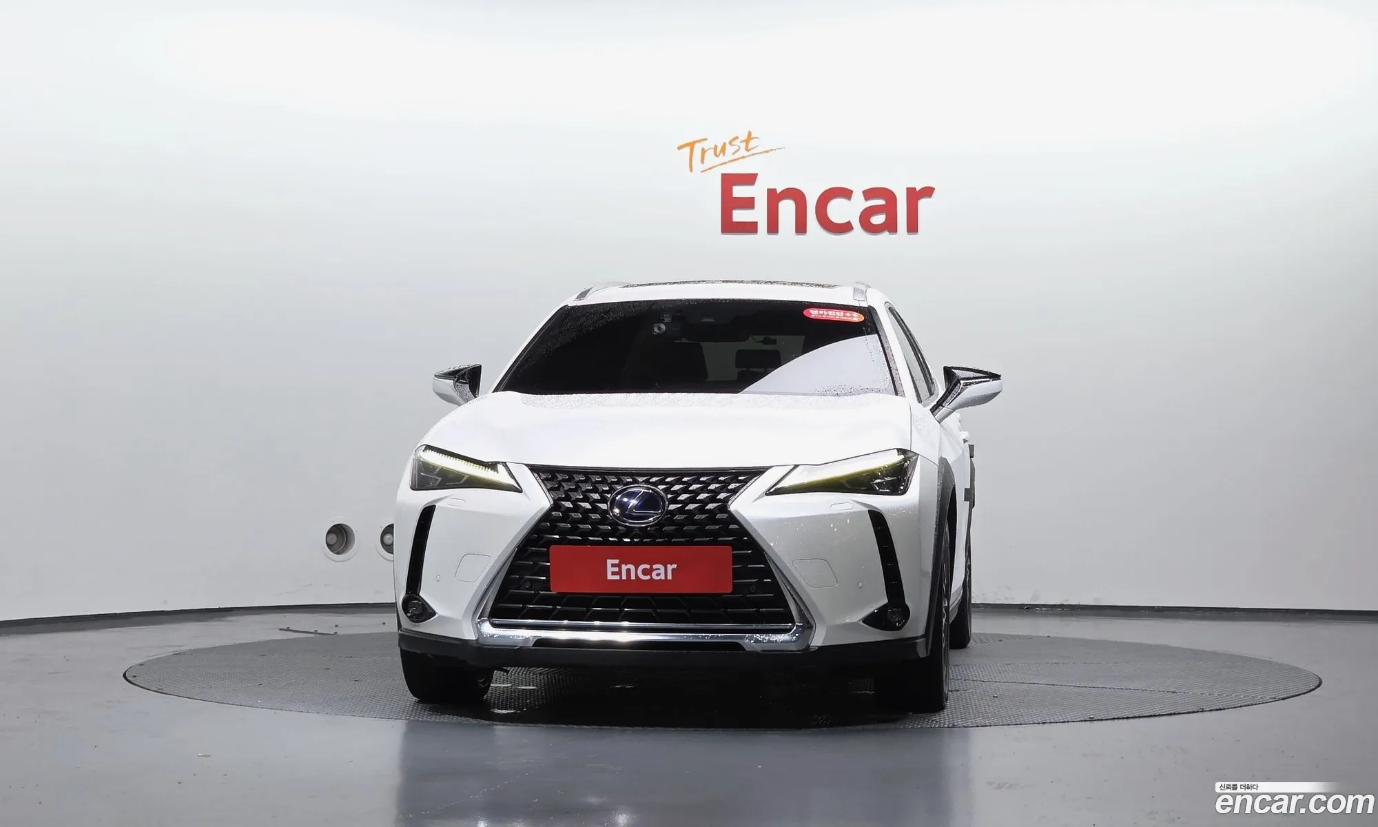 Lexus UX250h 2019 — 11