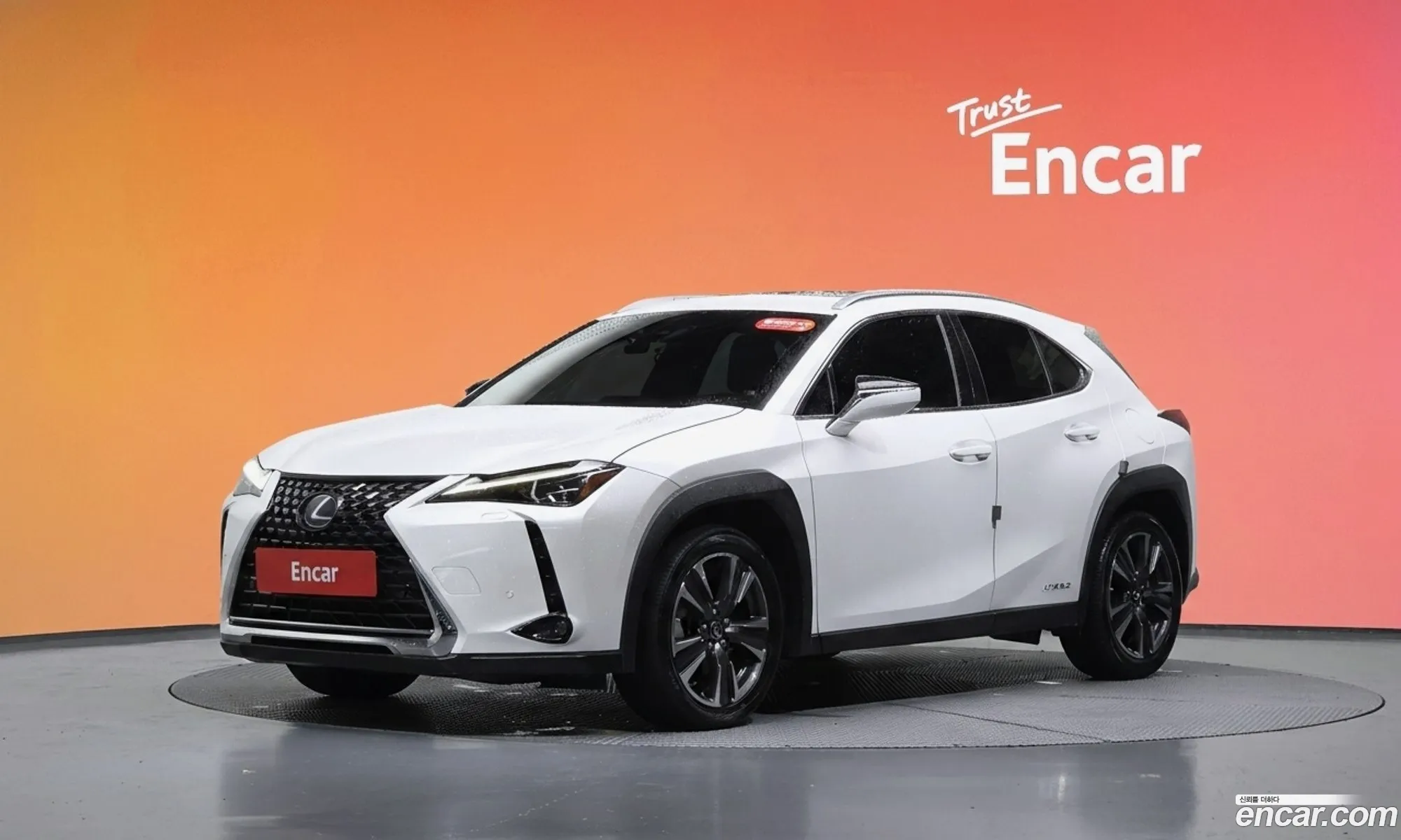 Lexus UX250h 2019 — 25