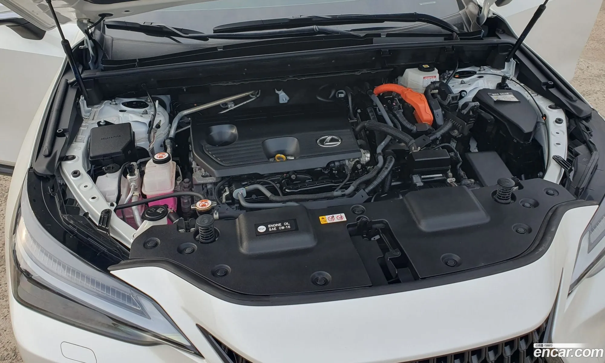 Lexus NX350h 2023 — 14